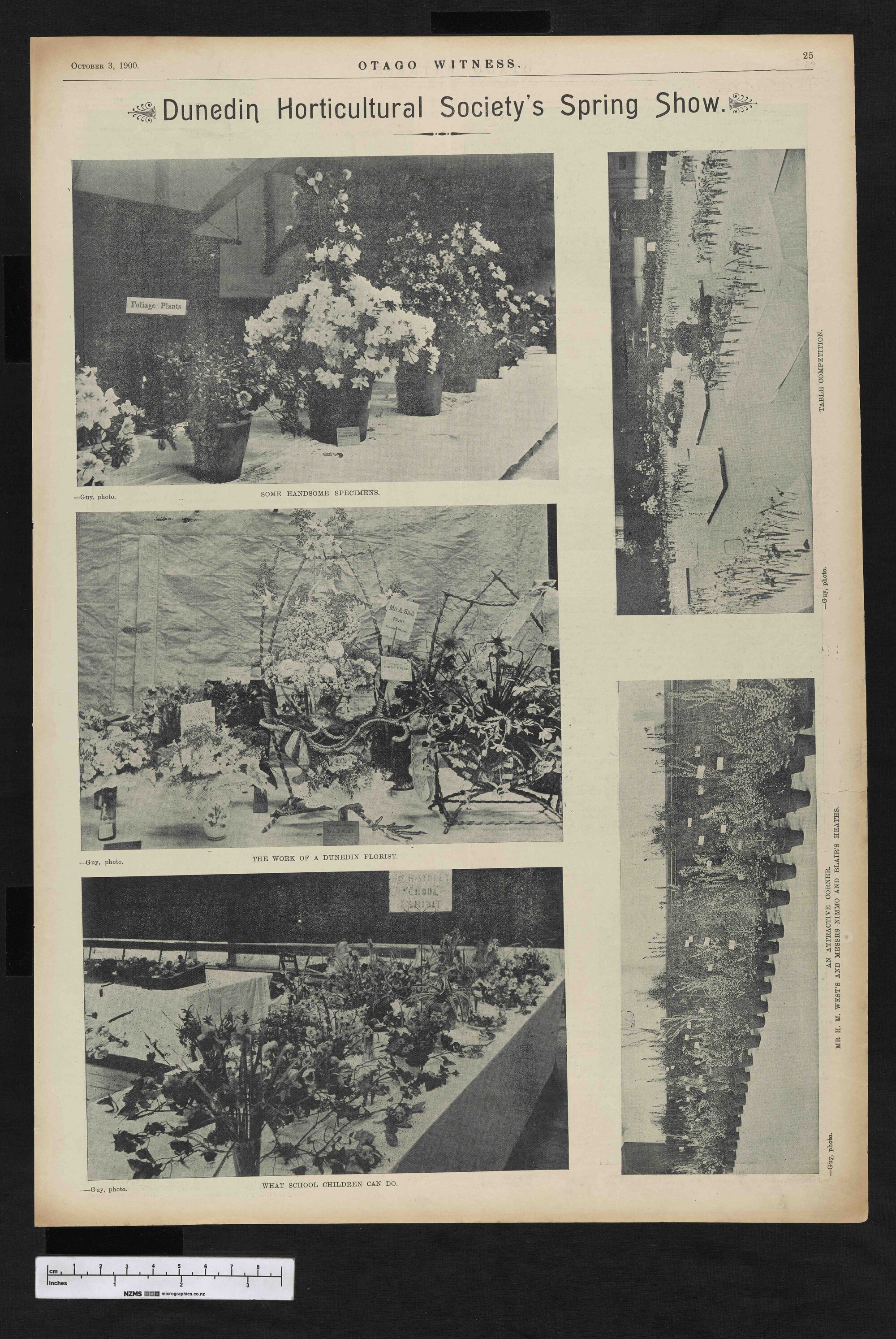 1900-10-03 Otago Witness