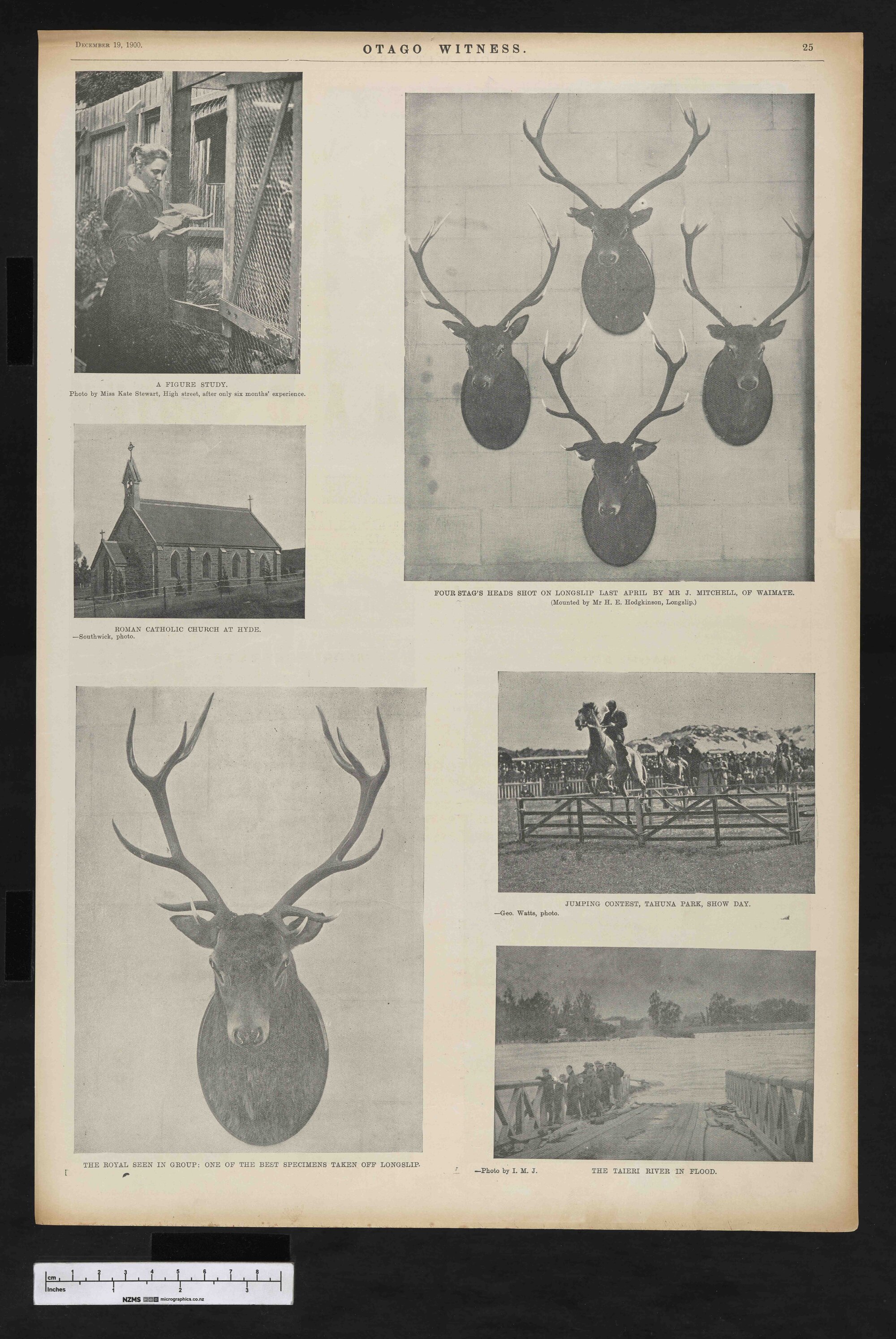 1900-12-19 Otago Witness