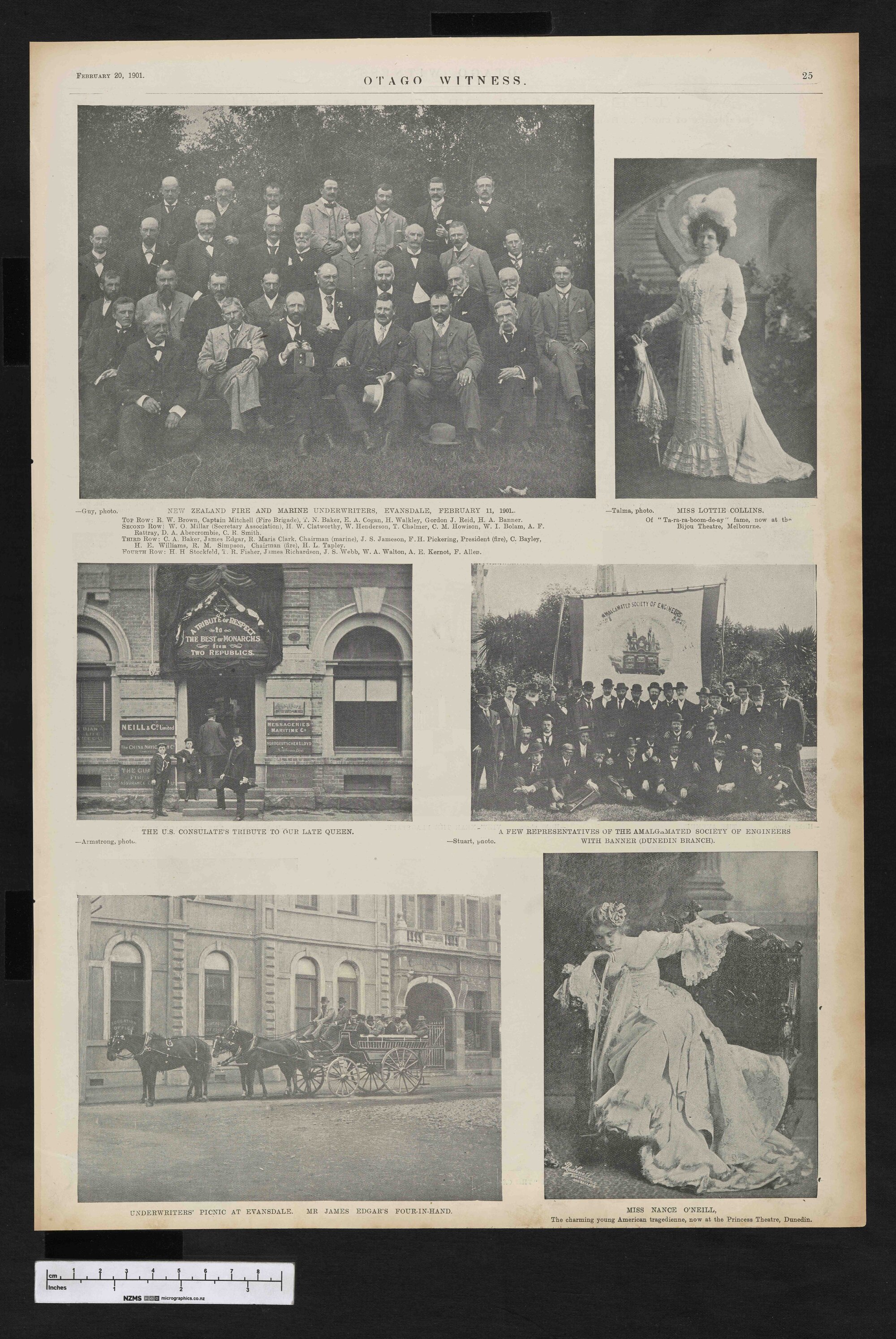 1901-02-20 Otago Witness