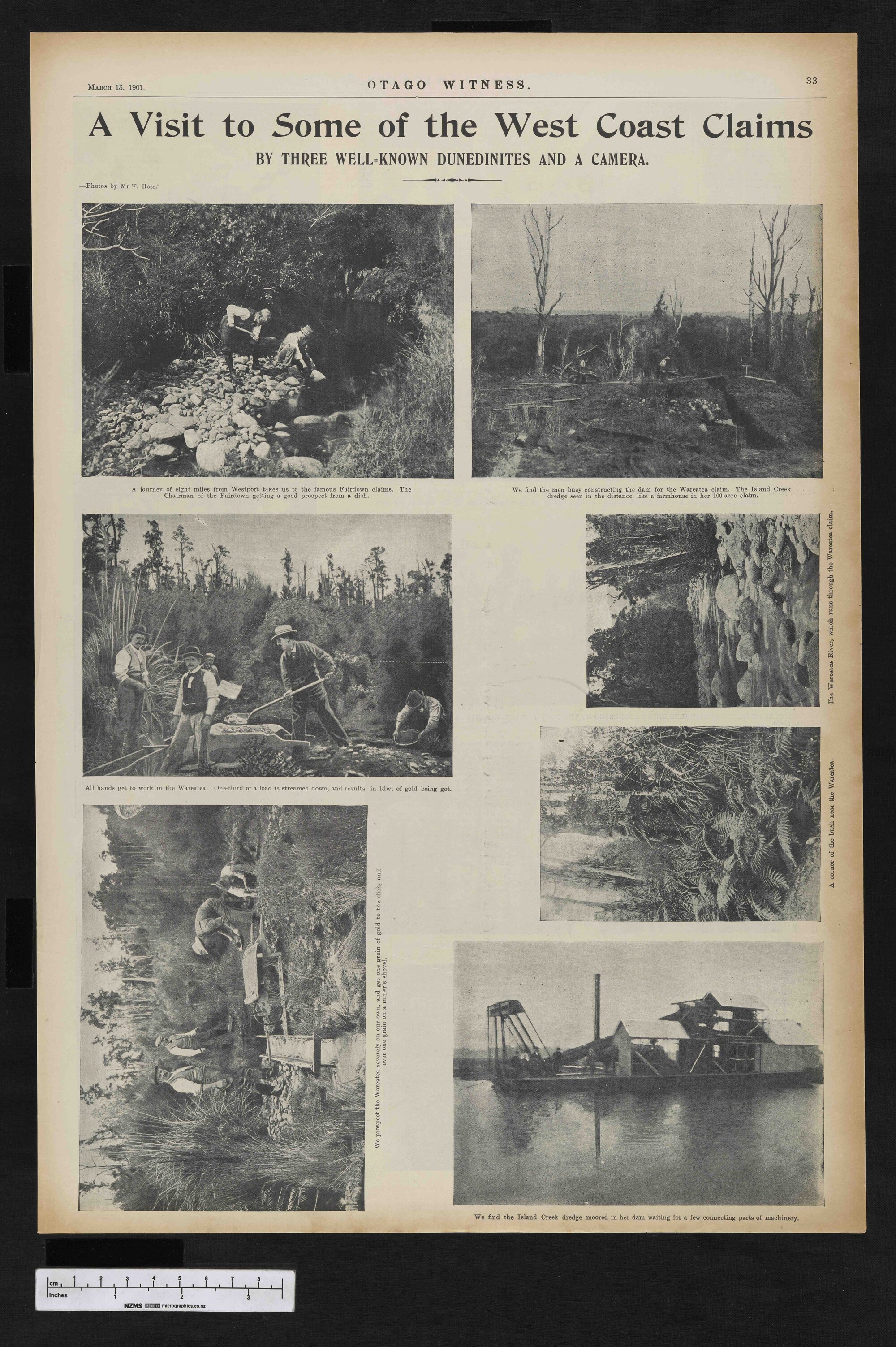 1901-03-13 Otago Witness