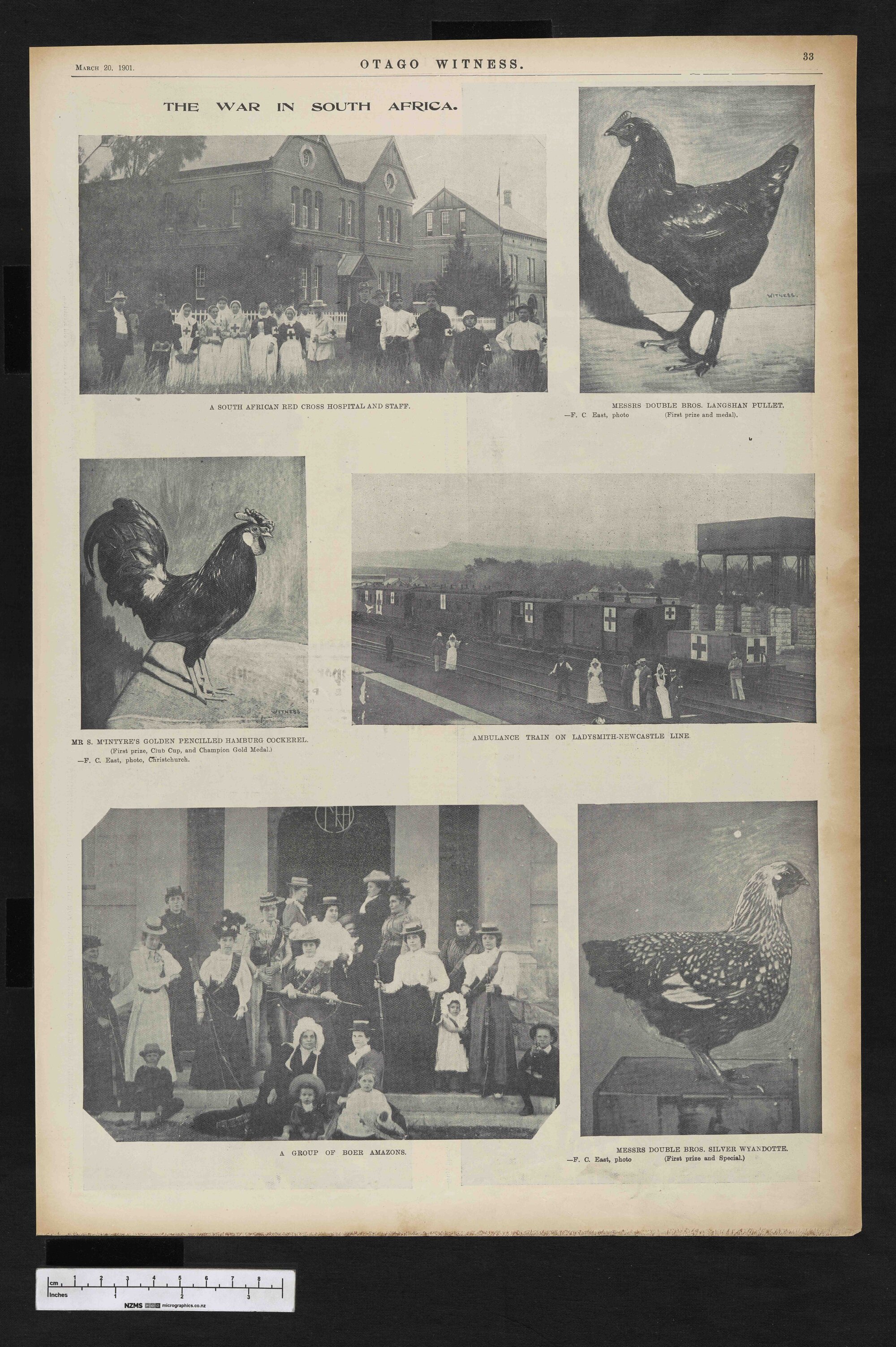 1901-03-20 Otago Witness