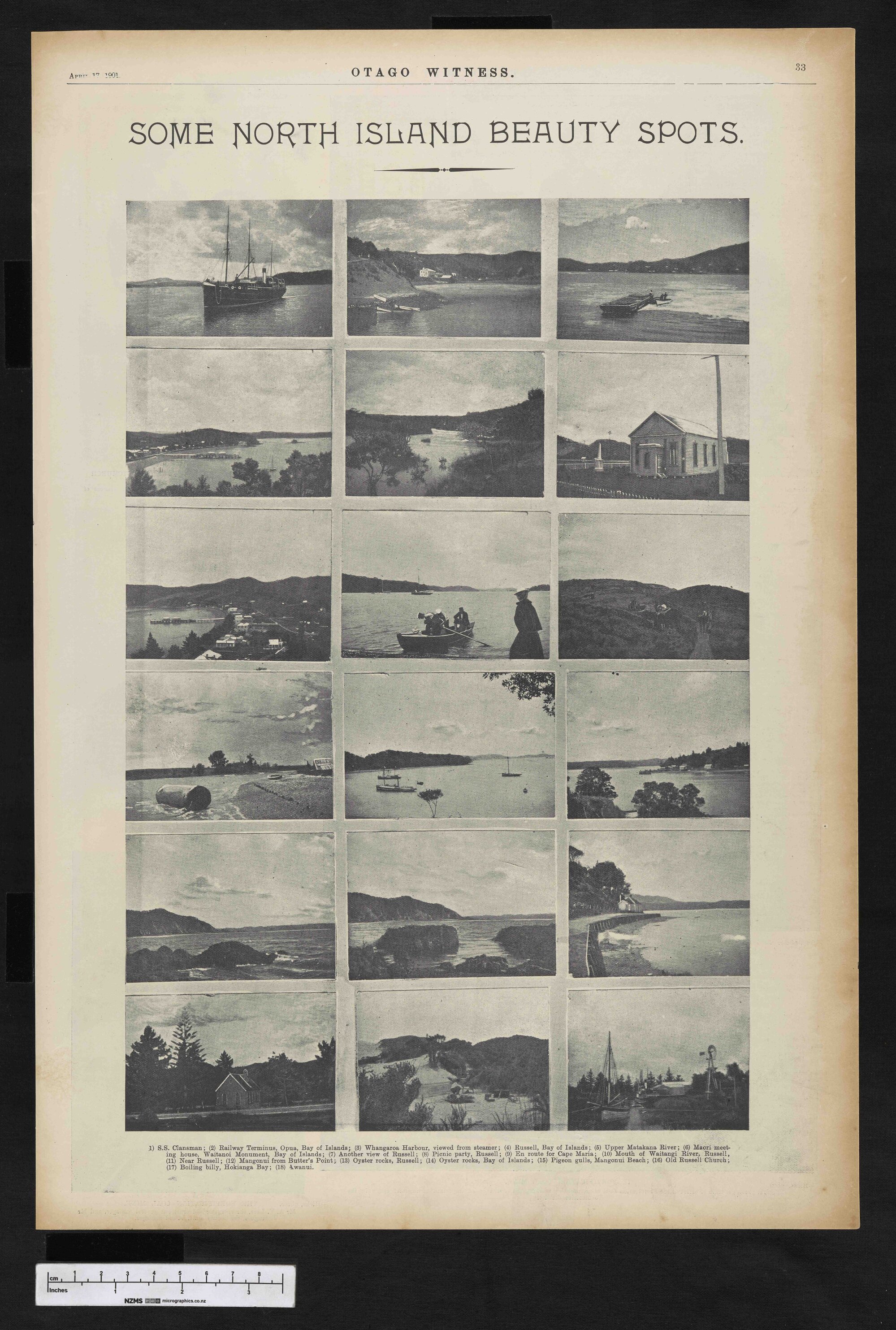 1901-04-17 Otago Witness