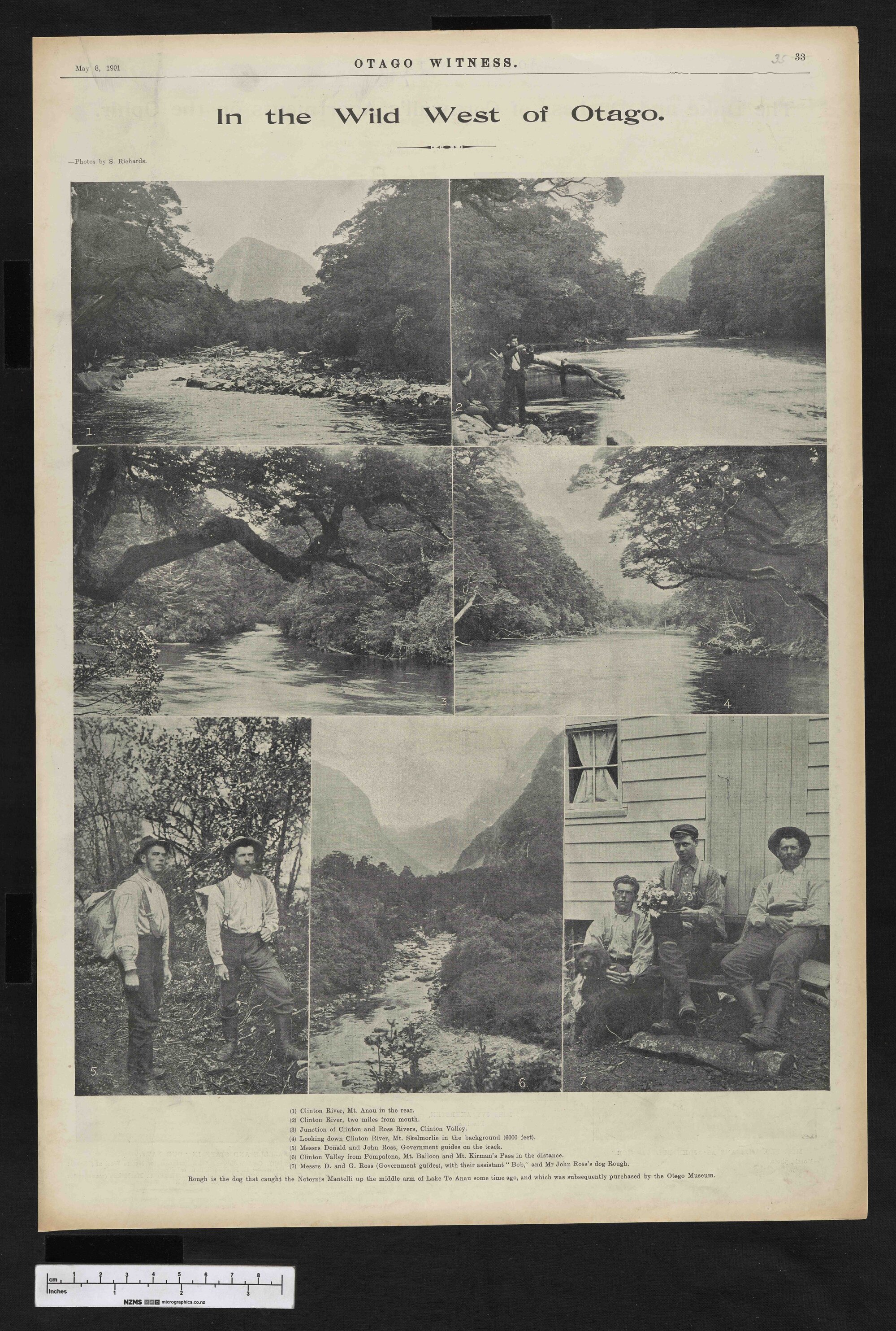 1901-05-08 Otago Witness
