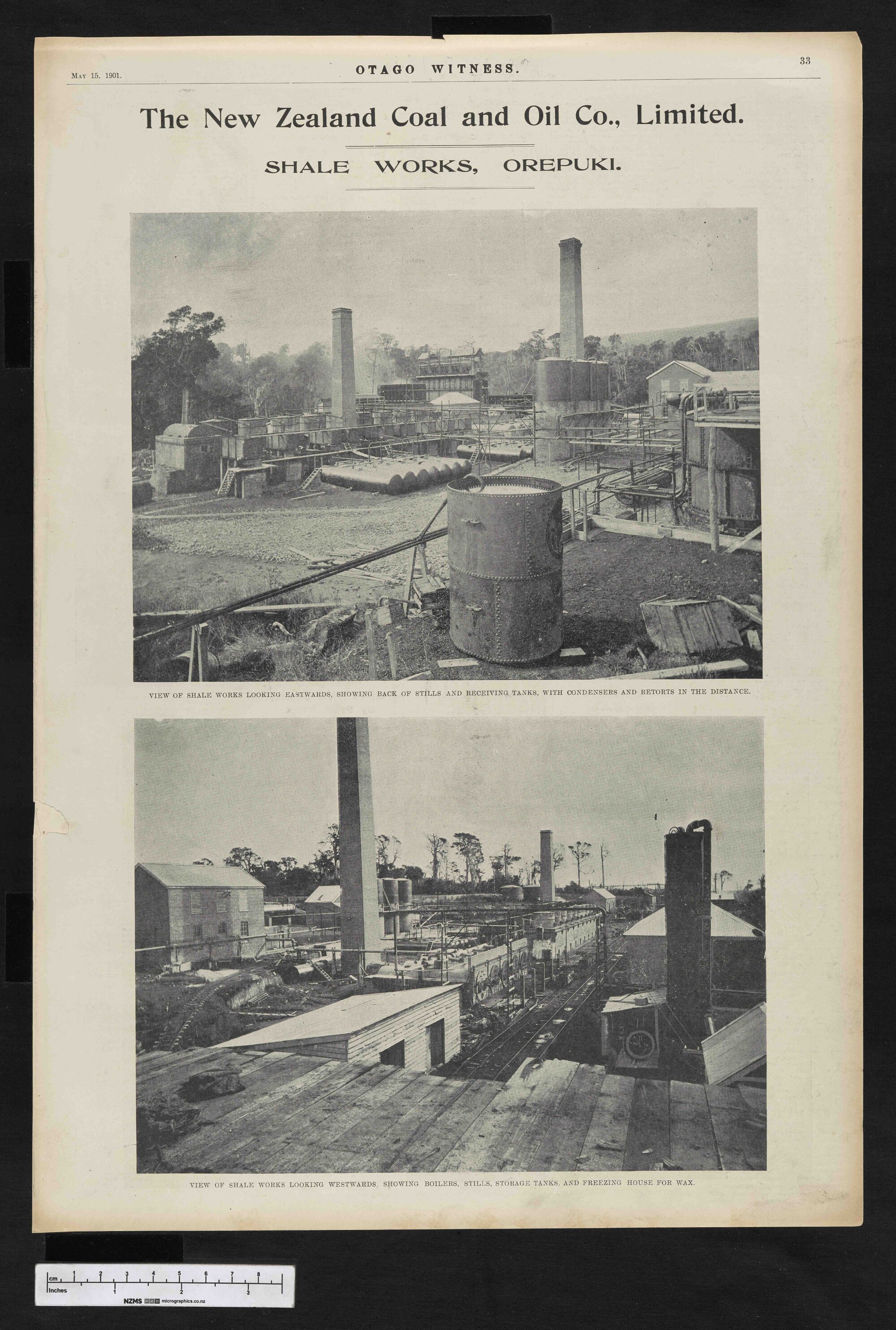 1901-05-15 Otago Witness