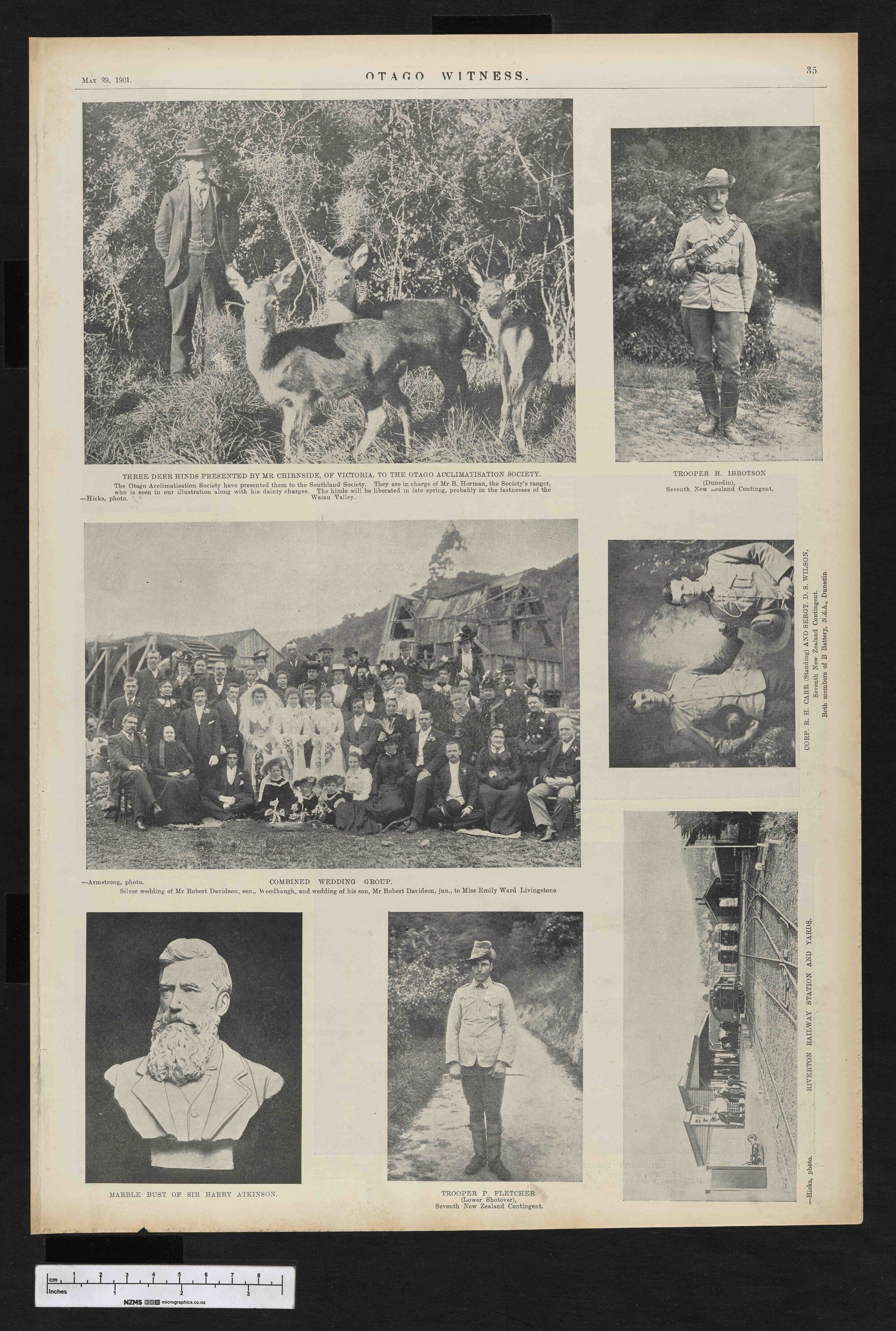 1901-05-29 Otago Witness