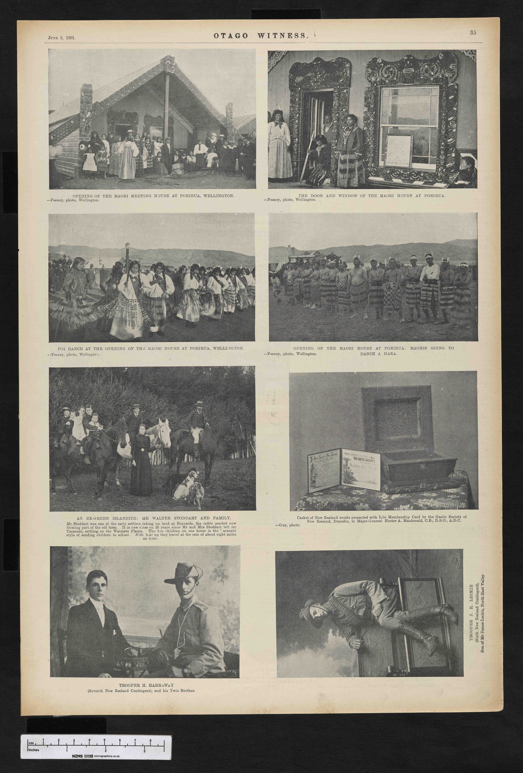1901-06-05 Otago Witness
