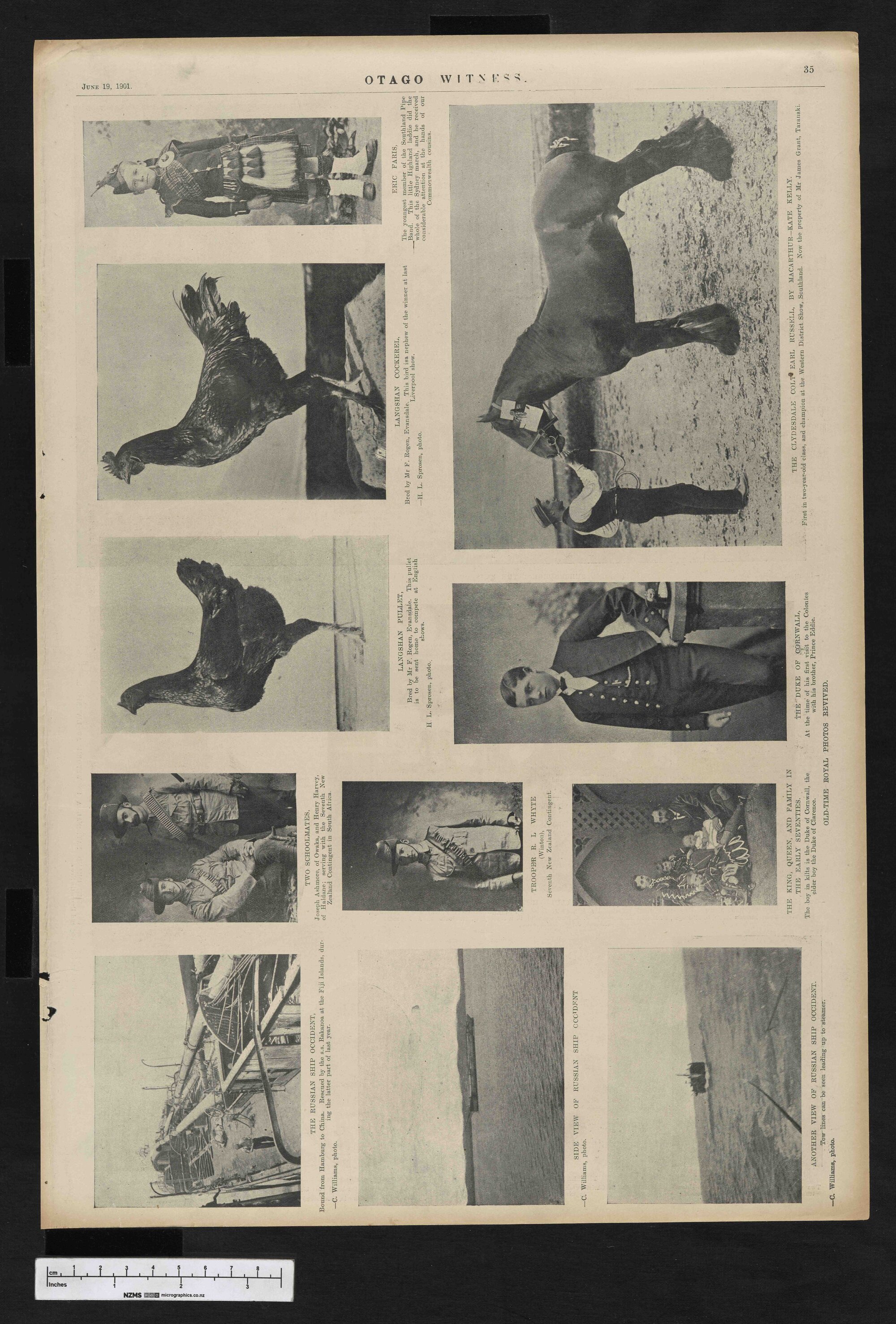 1901-06-19 Otago Witness