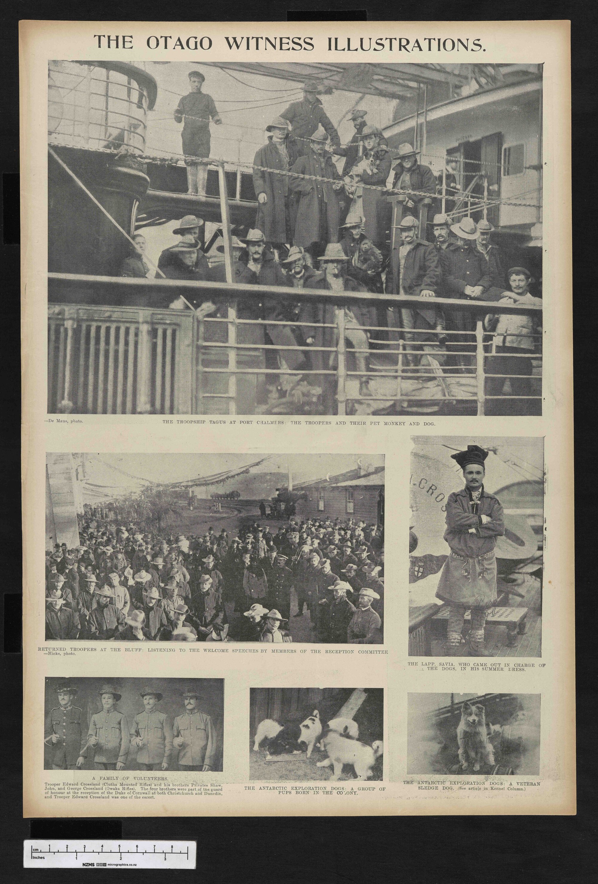 1901-07-24 Otago Witness