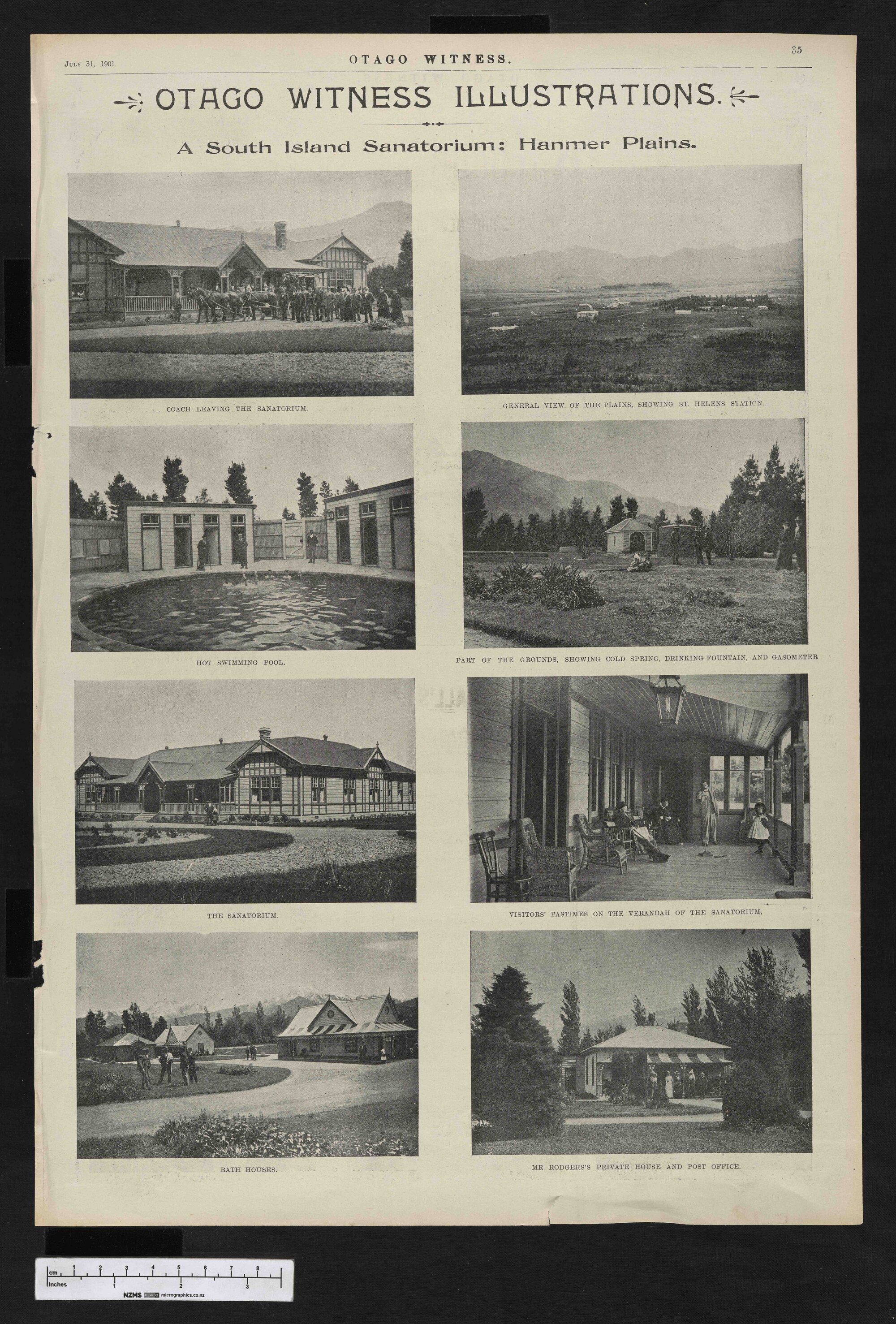 1901-07-31 Otago Witness