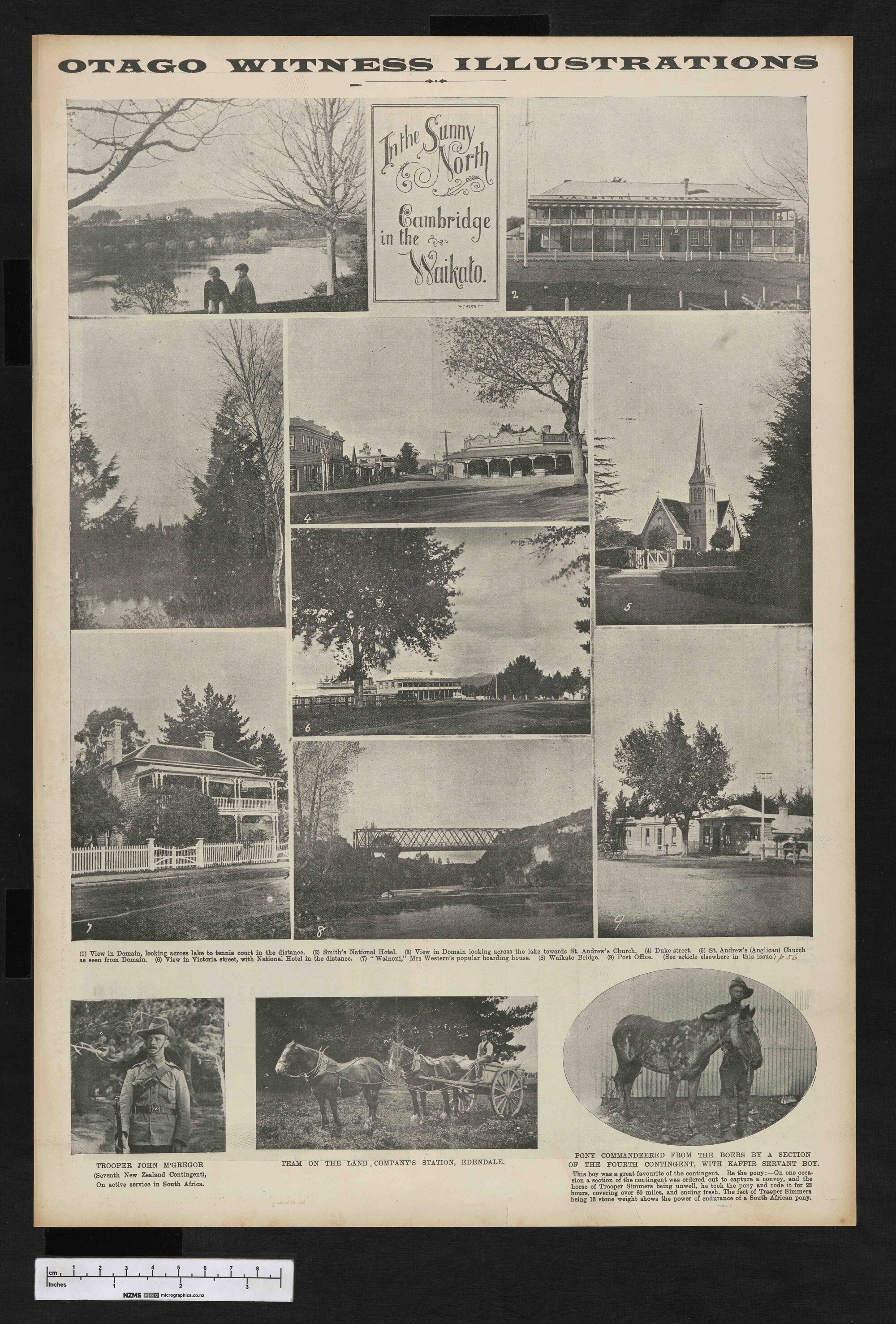 1901-08-21 Otago Witness