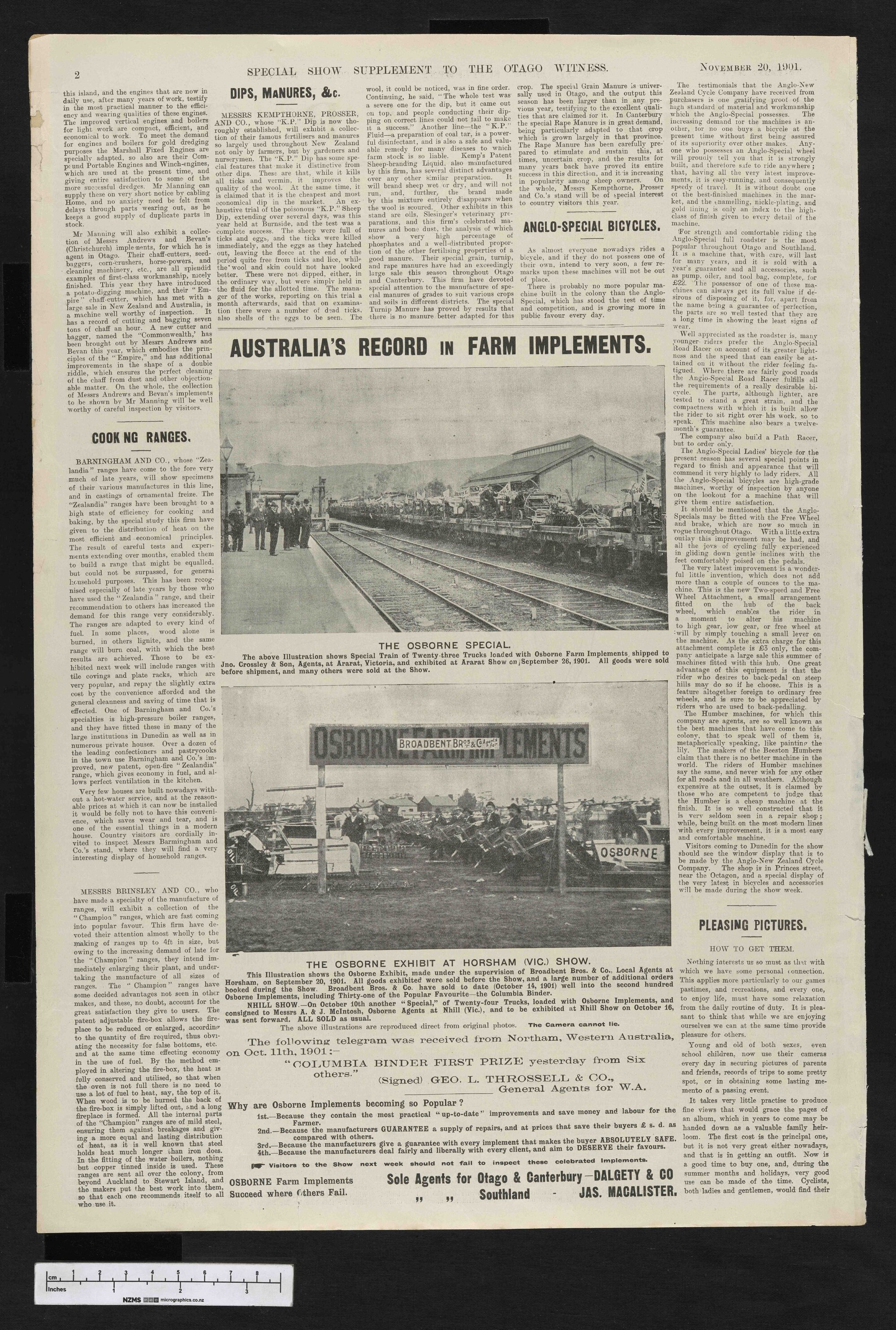 1901-11-20 Otago Witness