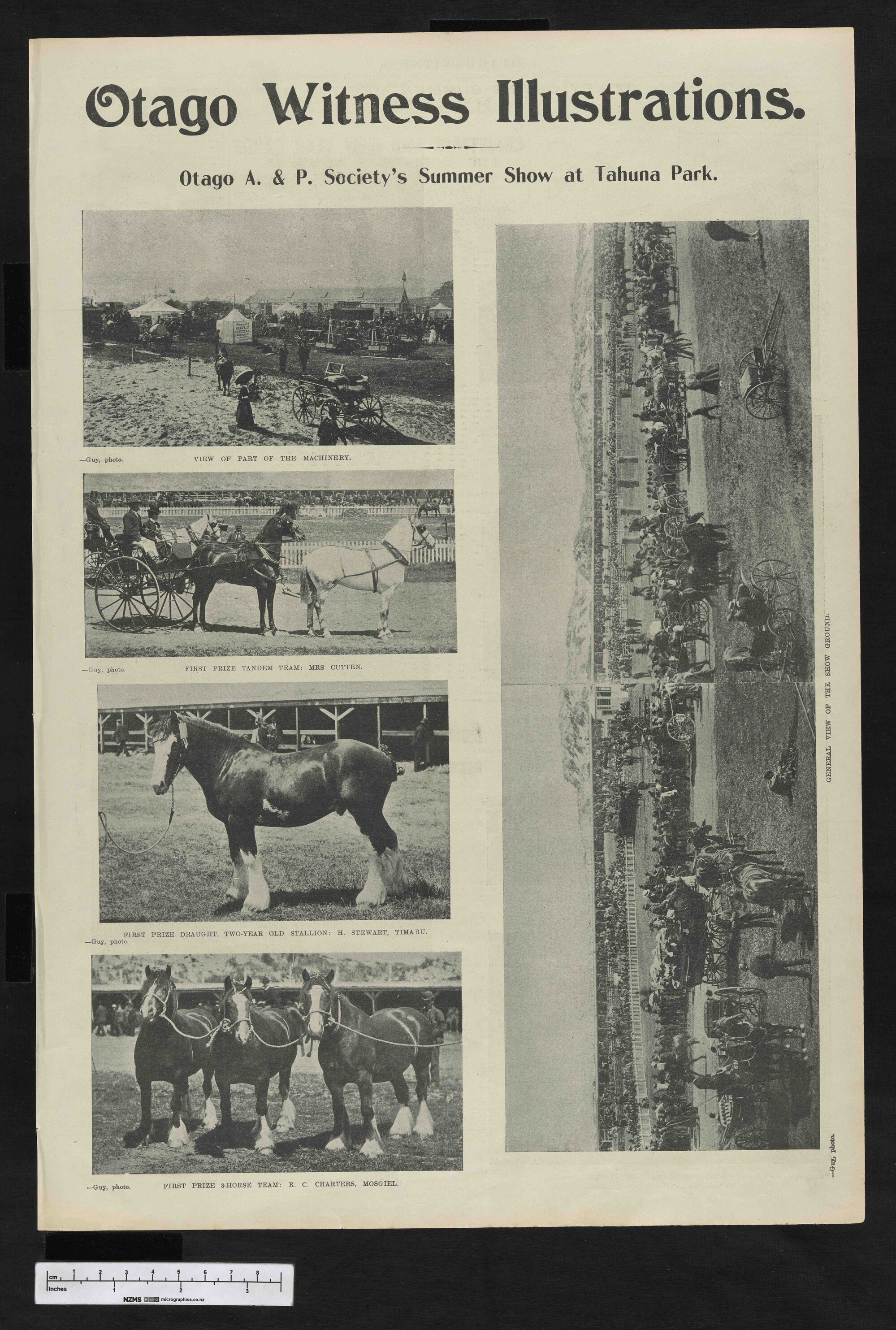 1901-12-04 Otago Witness