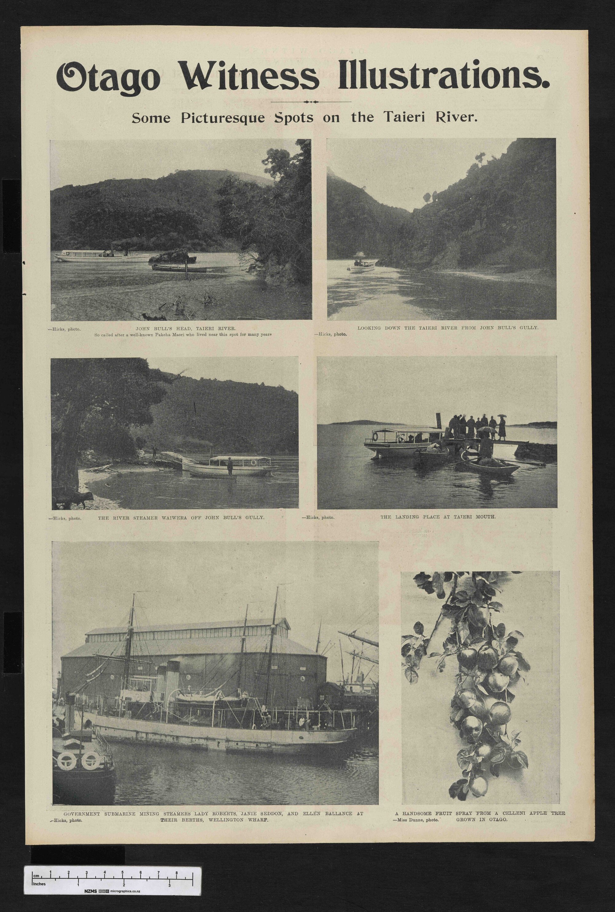 1902-02-19 Otago Witness