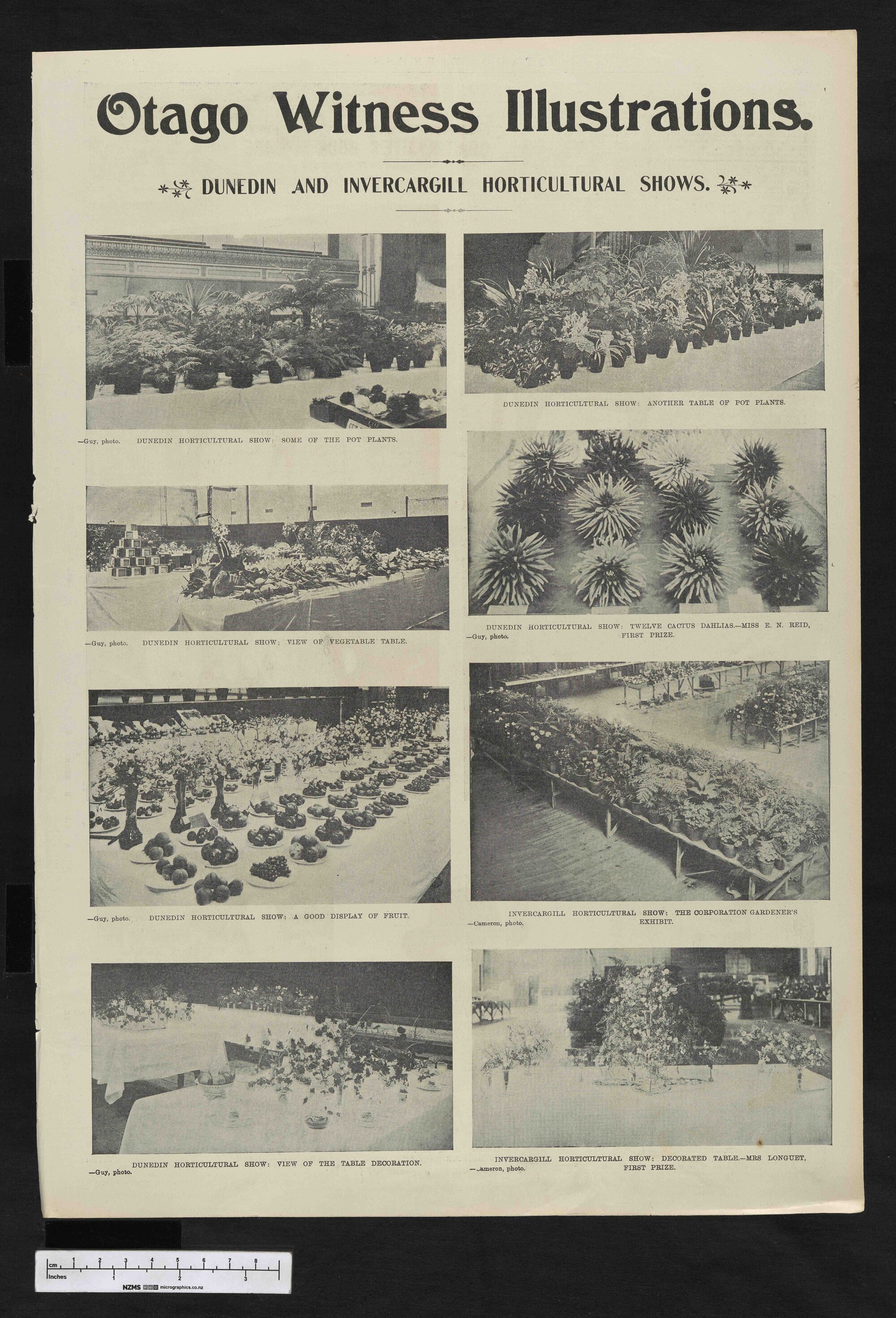 1902-03-19 Otago Witness