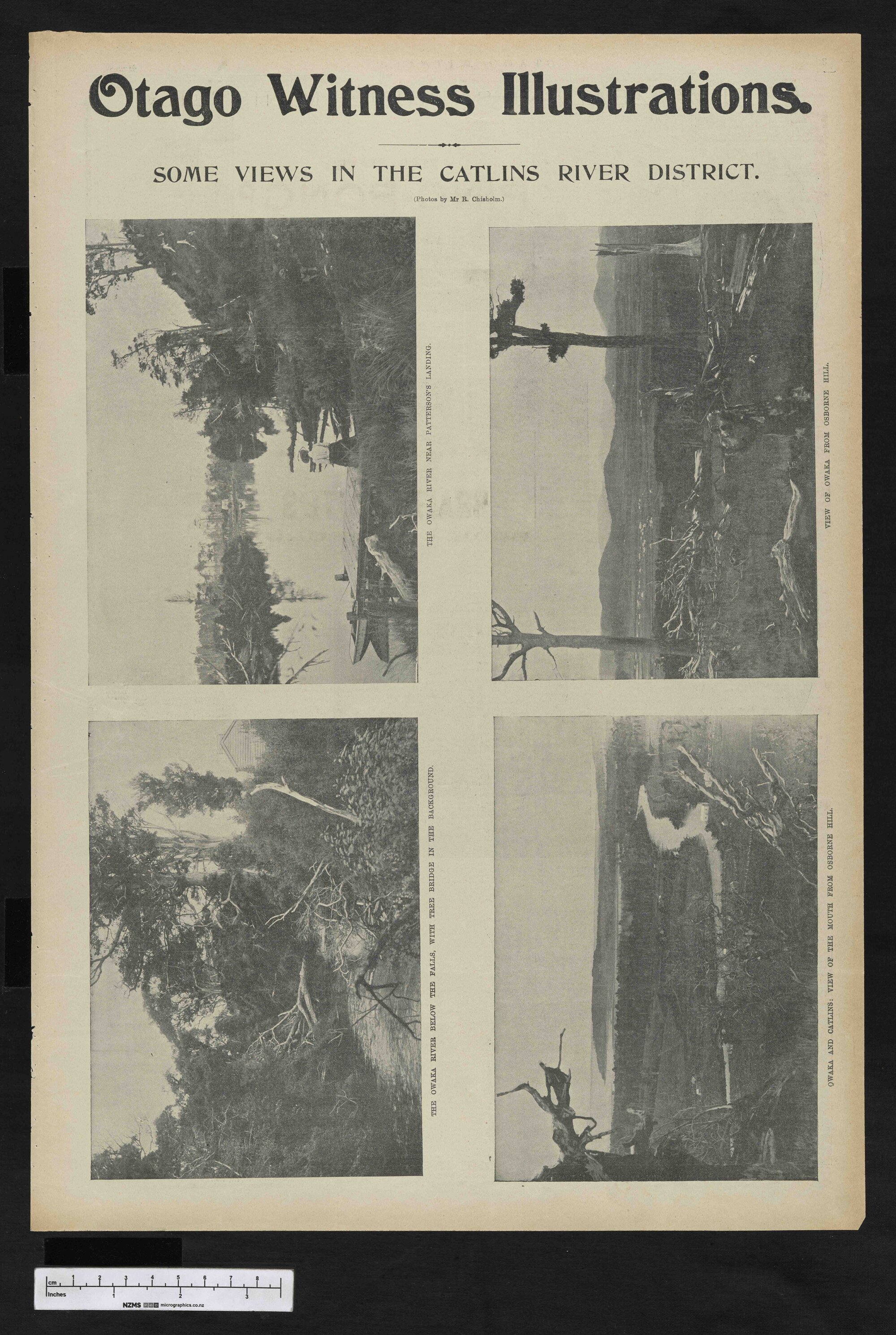 1902-04-30 Otago Witness