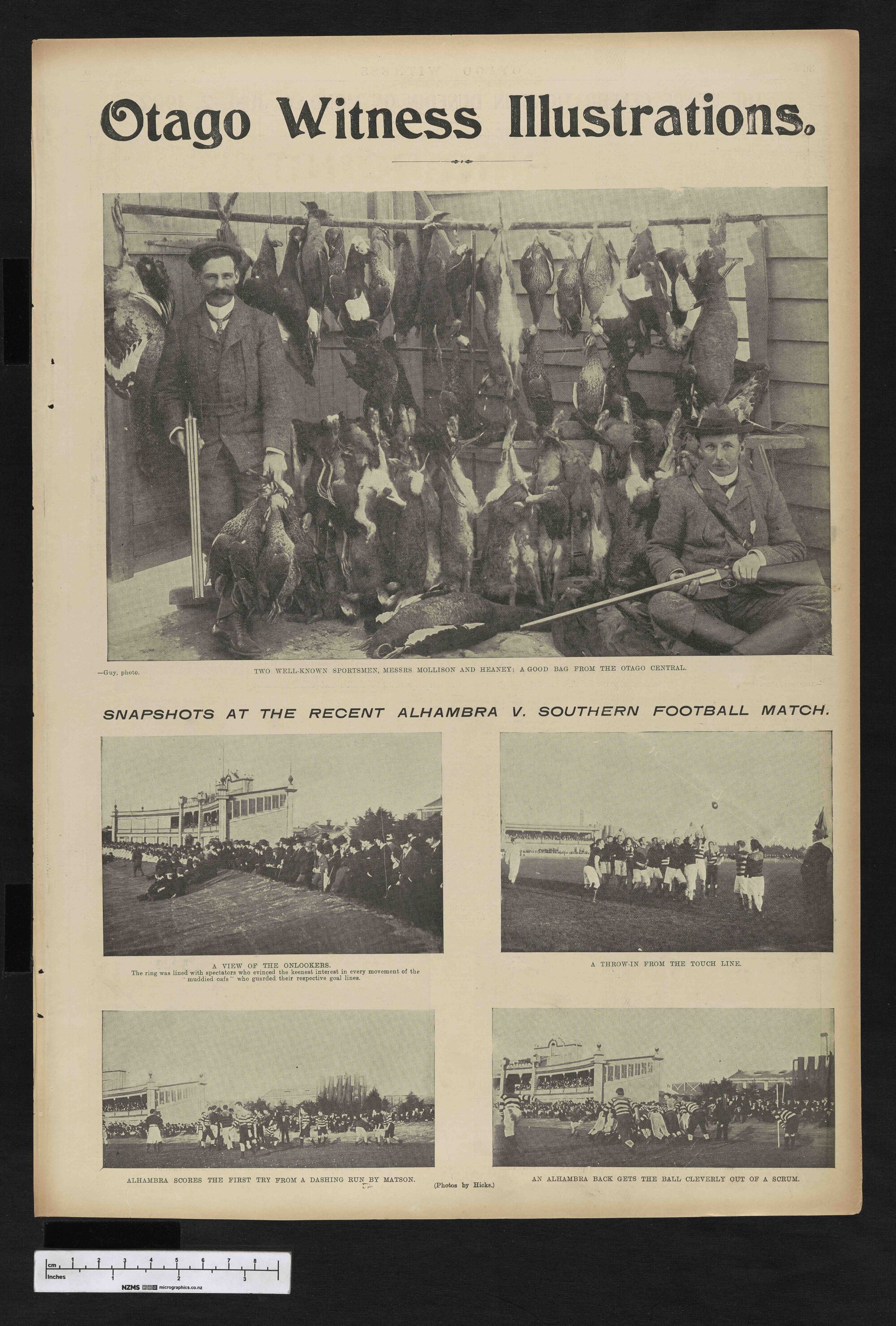 1902-06-11 Otago Witness