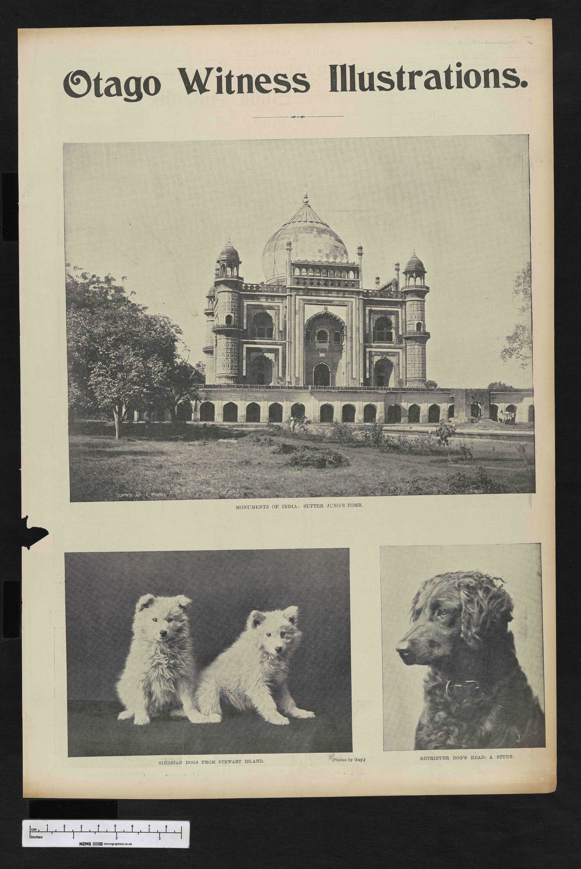 1902-07-16 Otago Witness