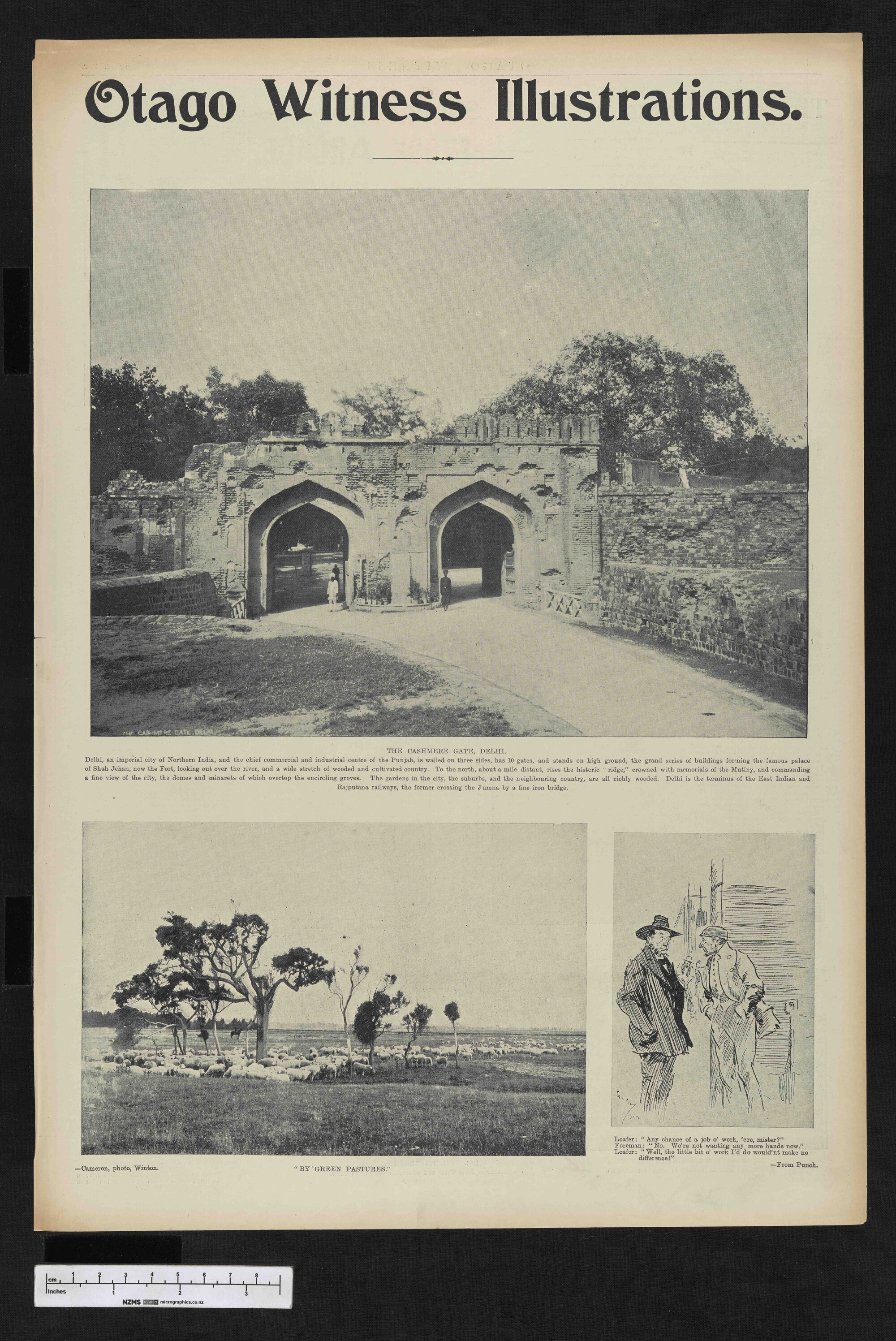 1902-07-23 Otago Witness