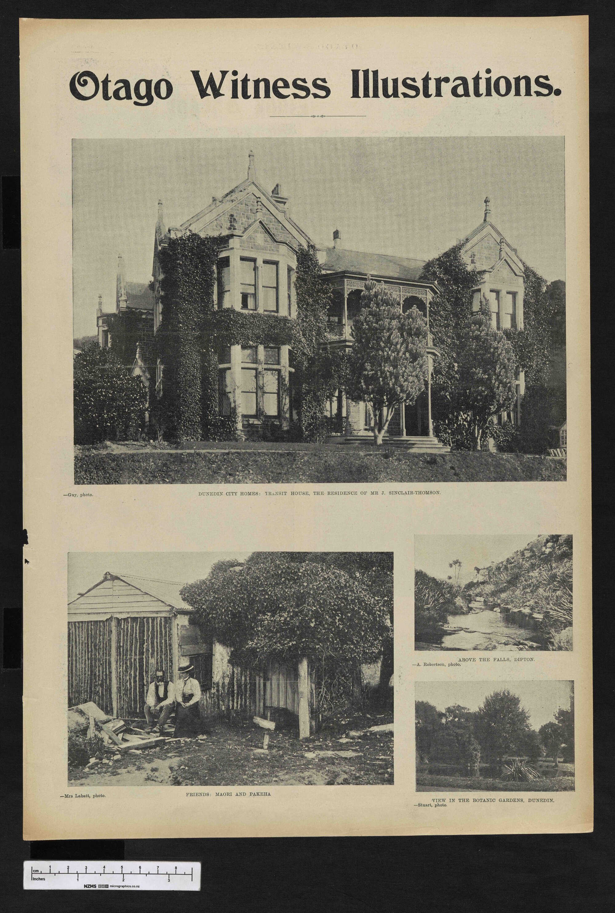 1902-08-06 Otago Witness