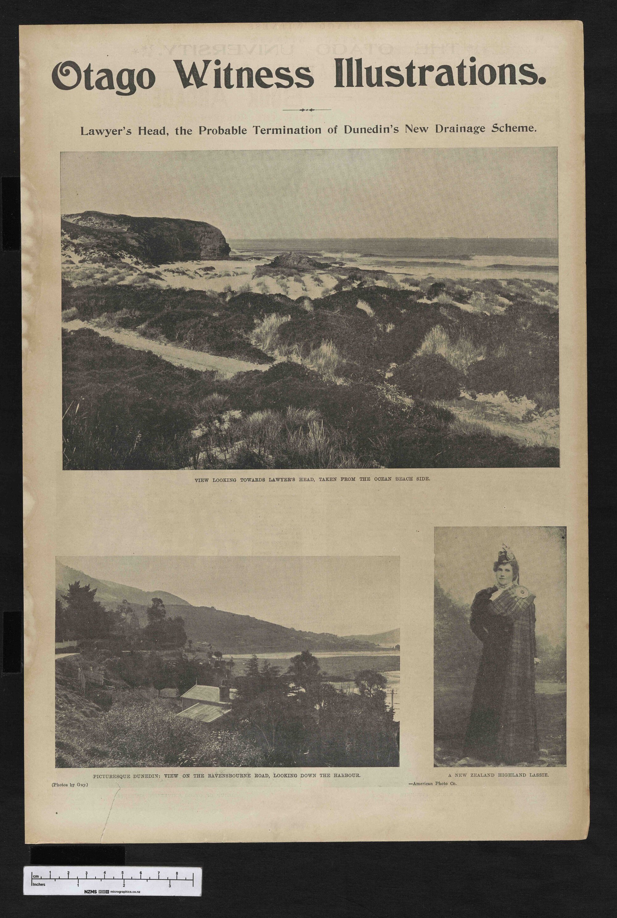 1902-09-03 Otago Witness