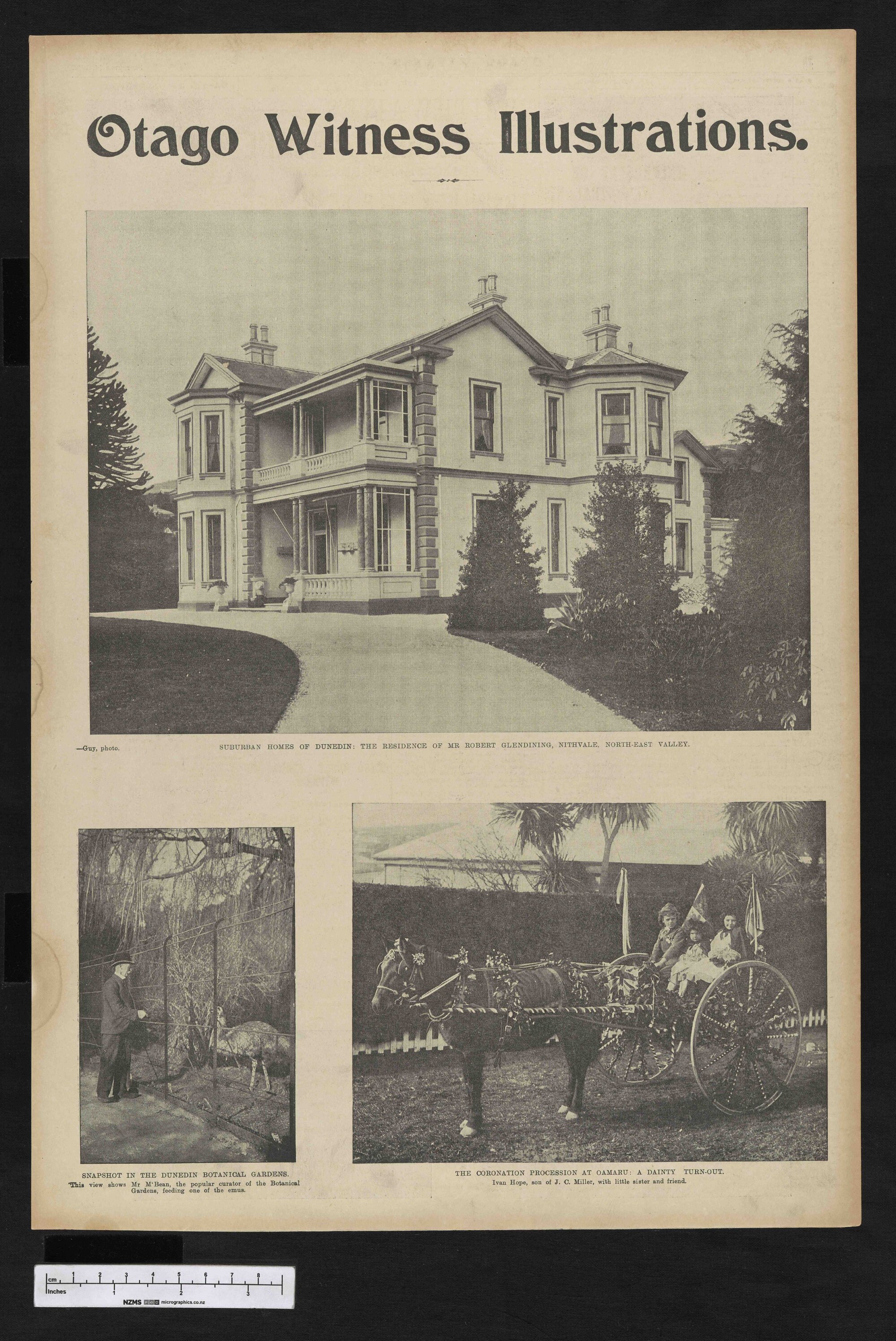 1902-09-24 Otago Witness