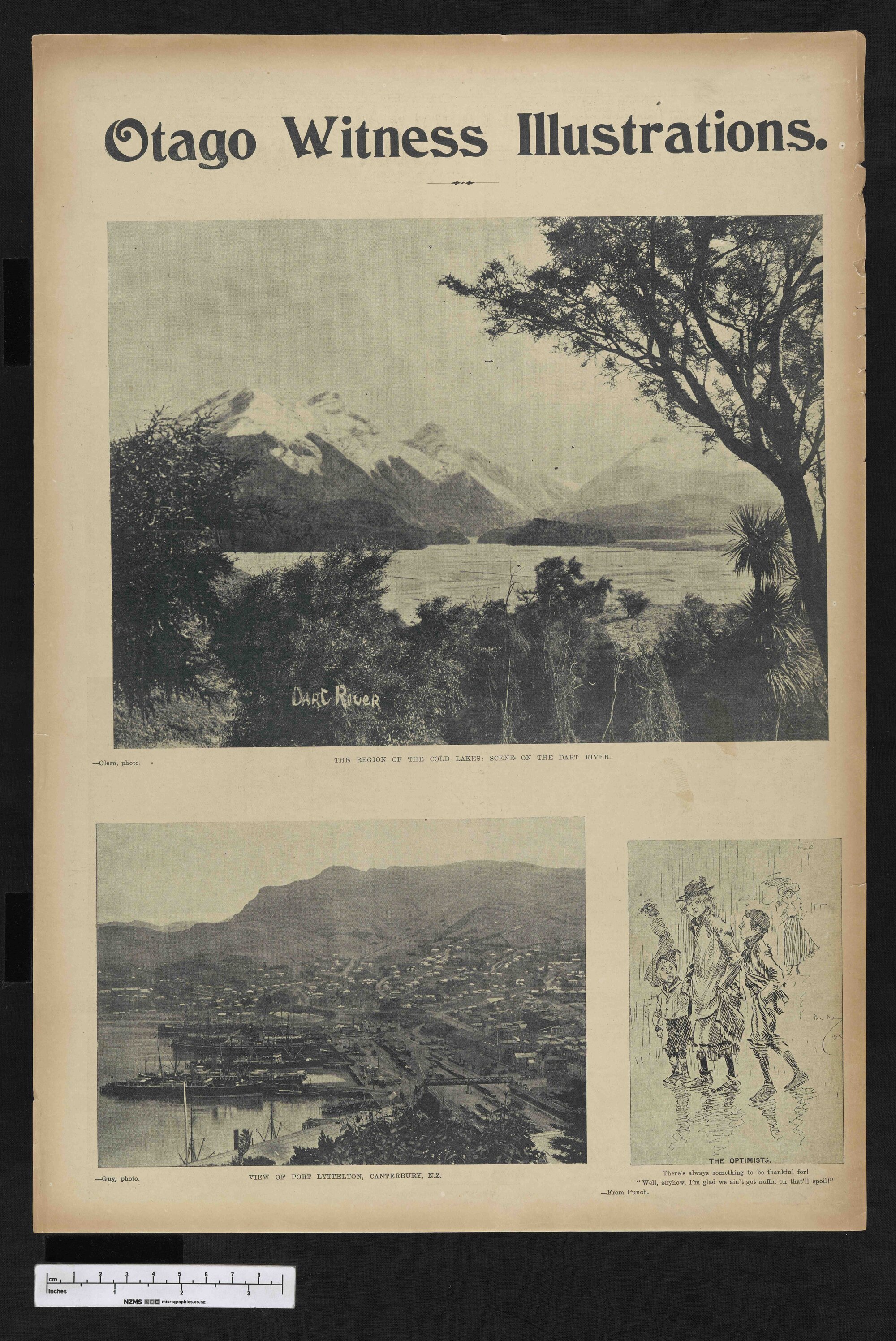 1902-10-08 Otago Witness