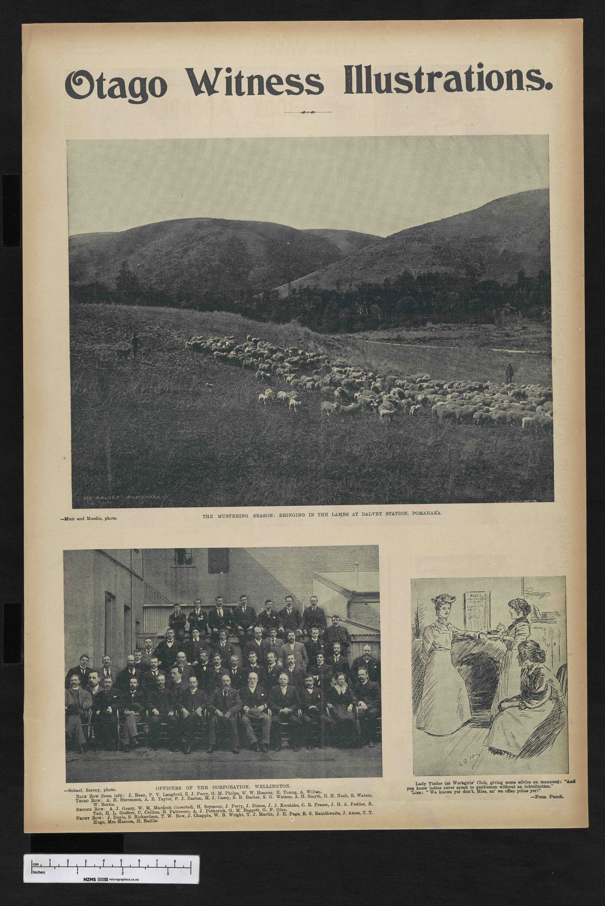 1902-10-15 Otago Witness