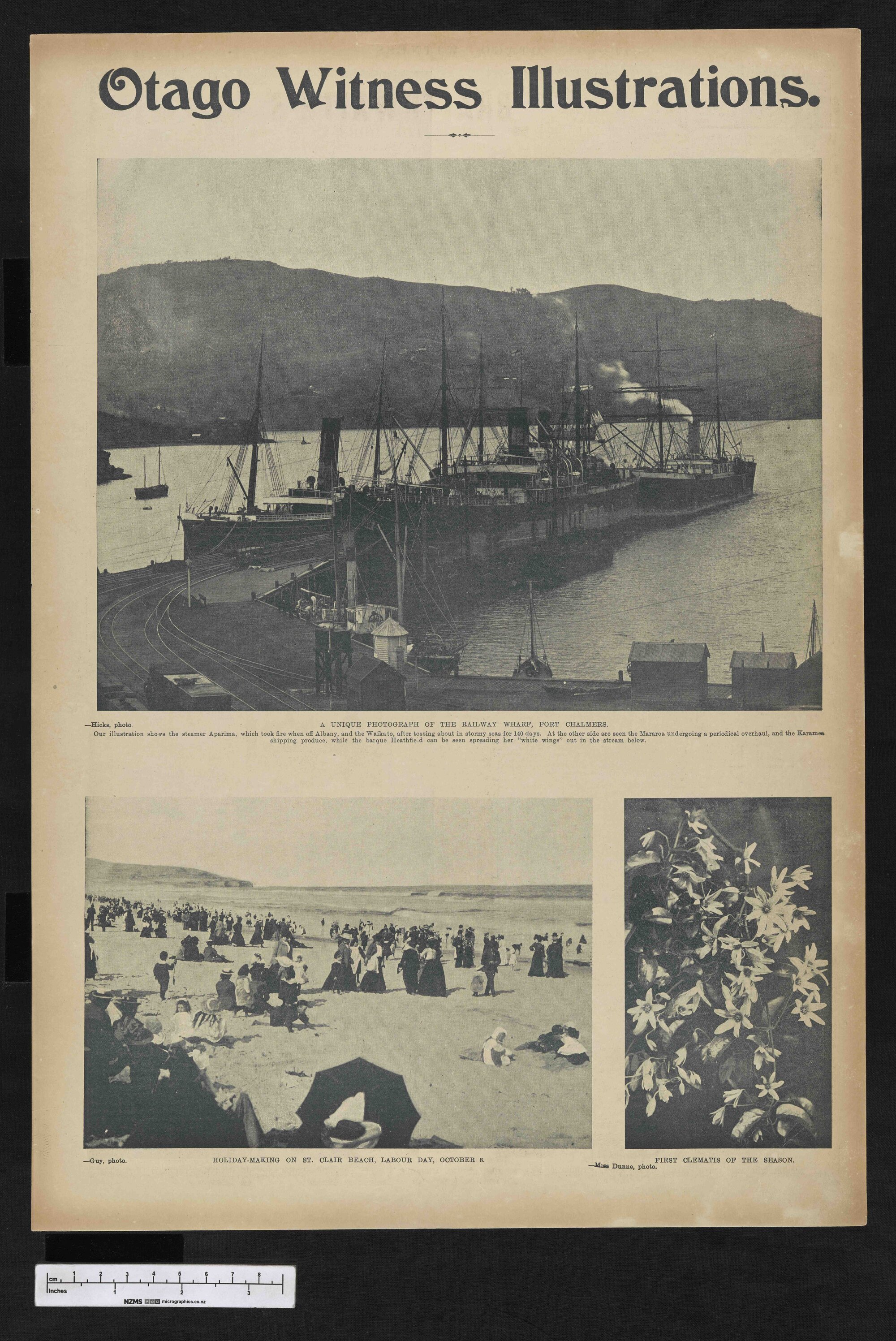 1902-10-29 Otago Witness