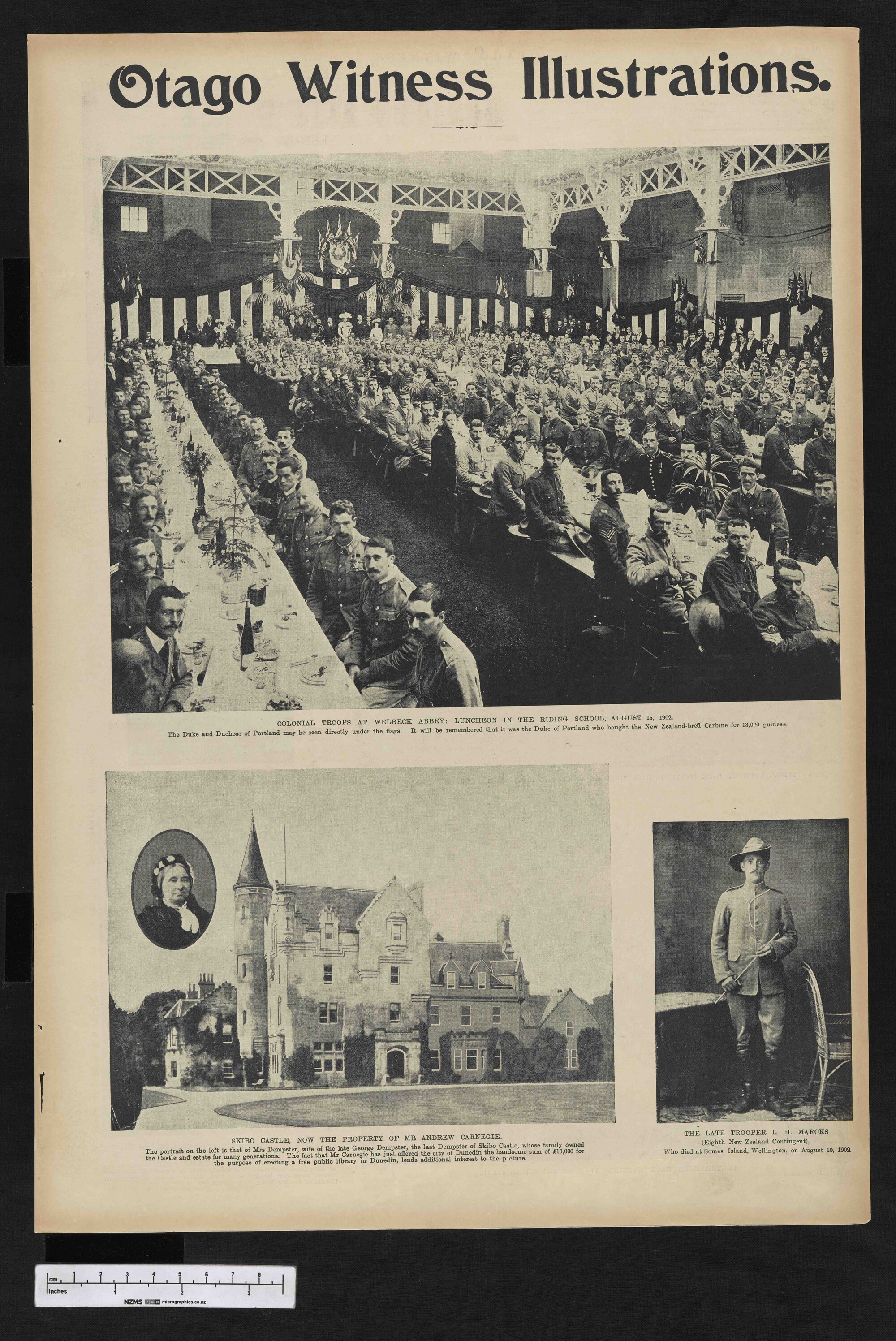 1902-11-12 Otago Witness