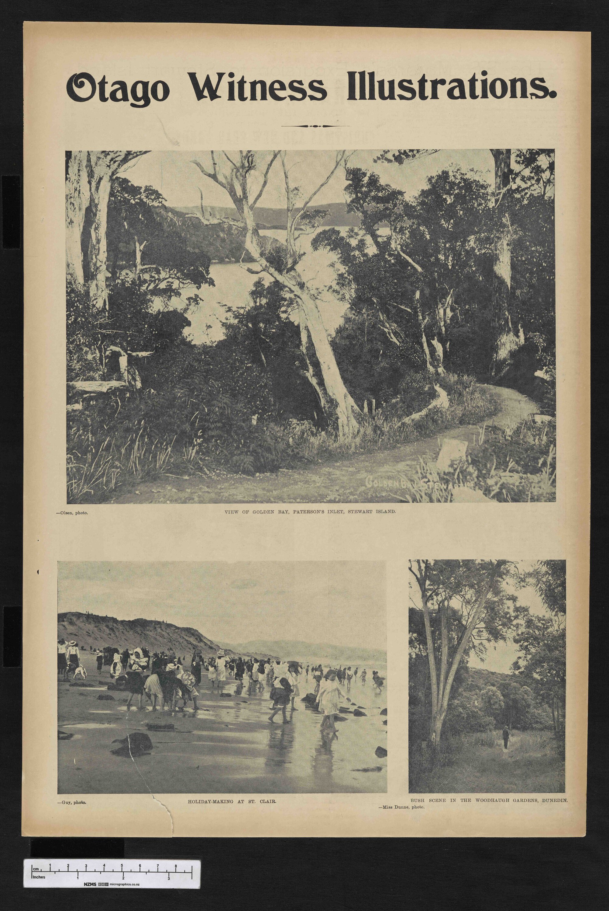 1902-11-19 Otago Witness