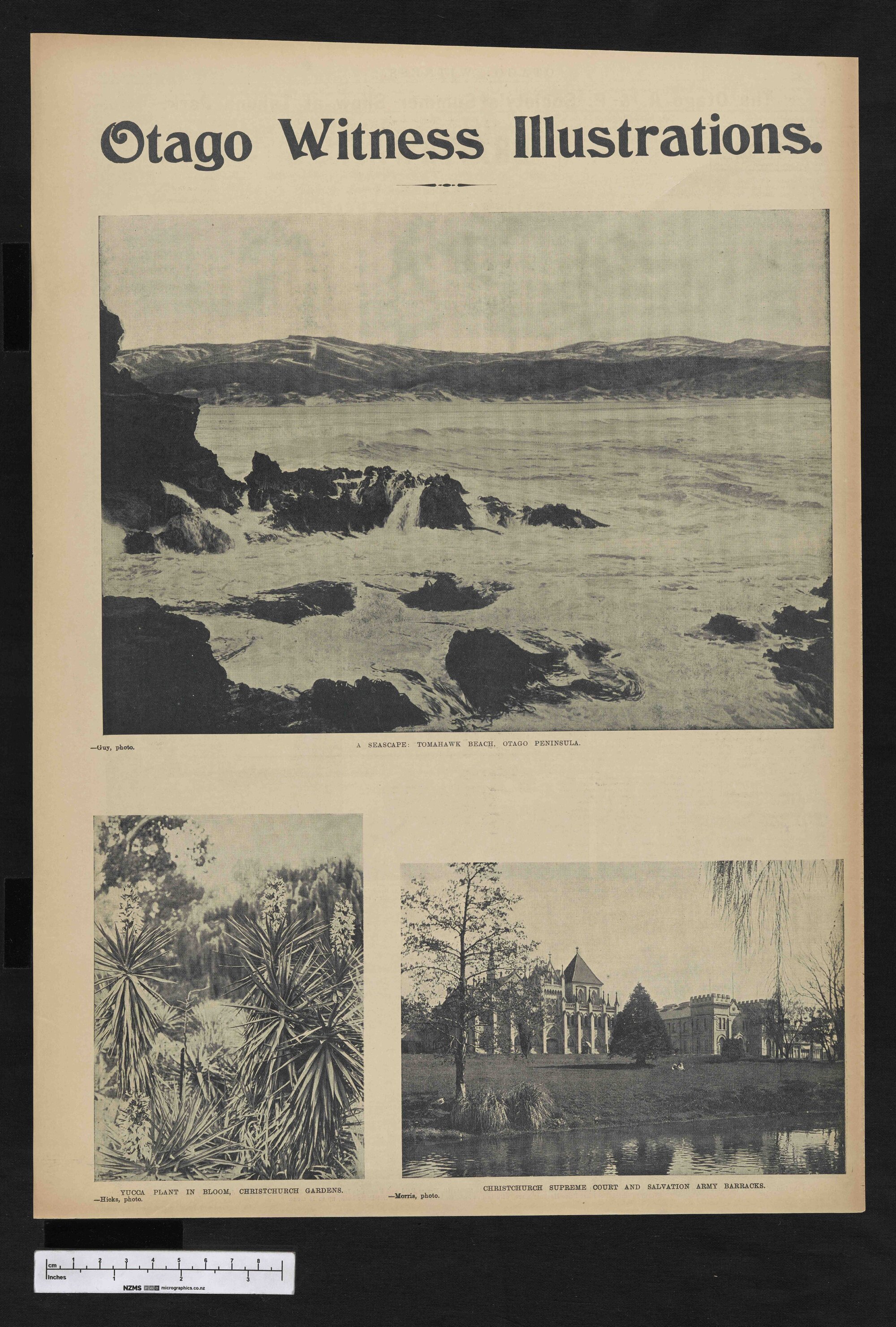 1902-12-03 Otago Witness