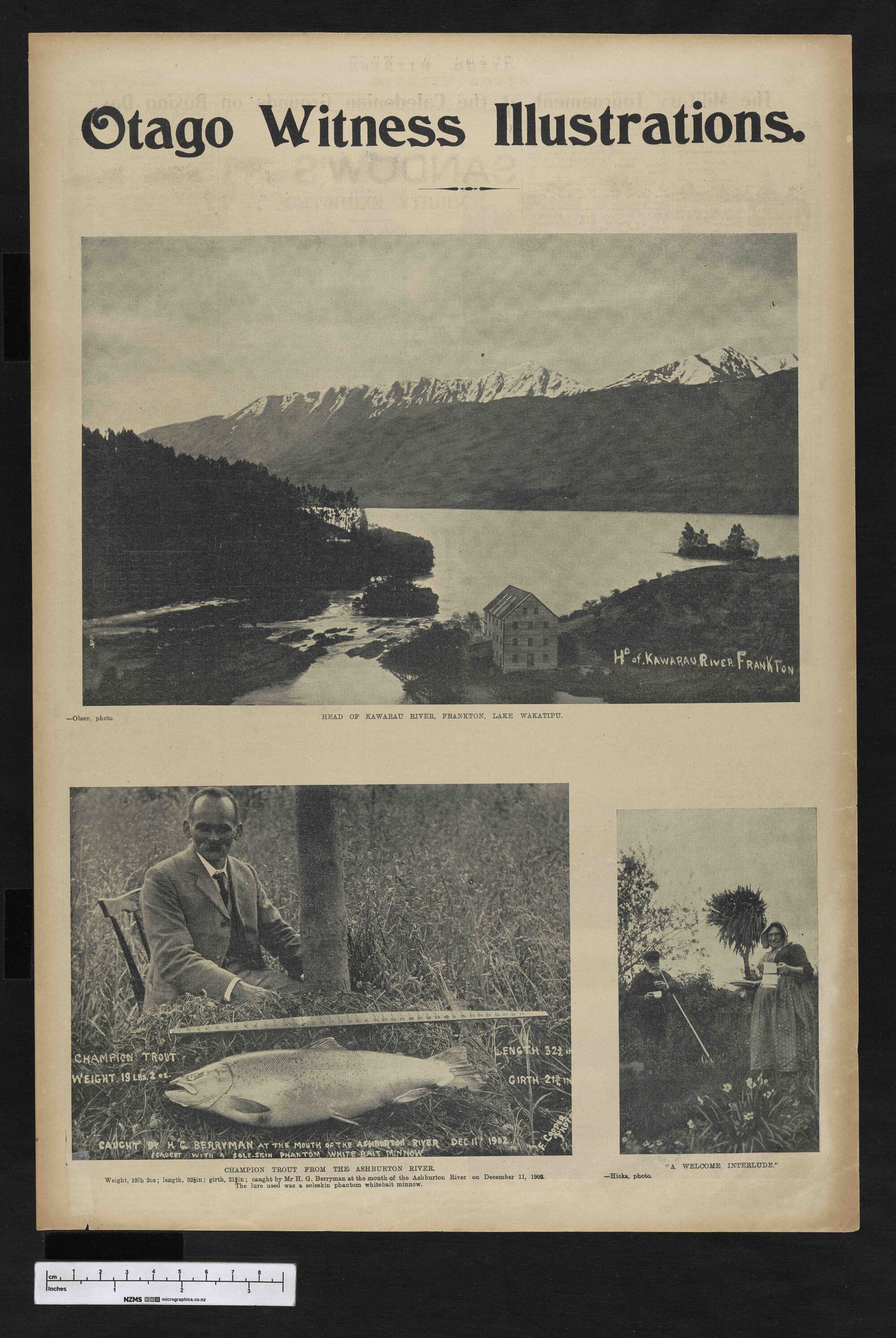 1903-01-07 Otago Witness