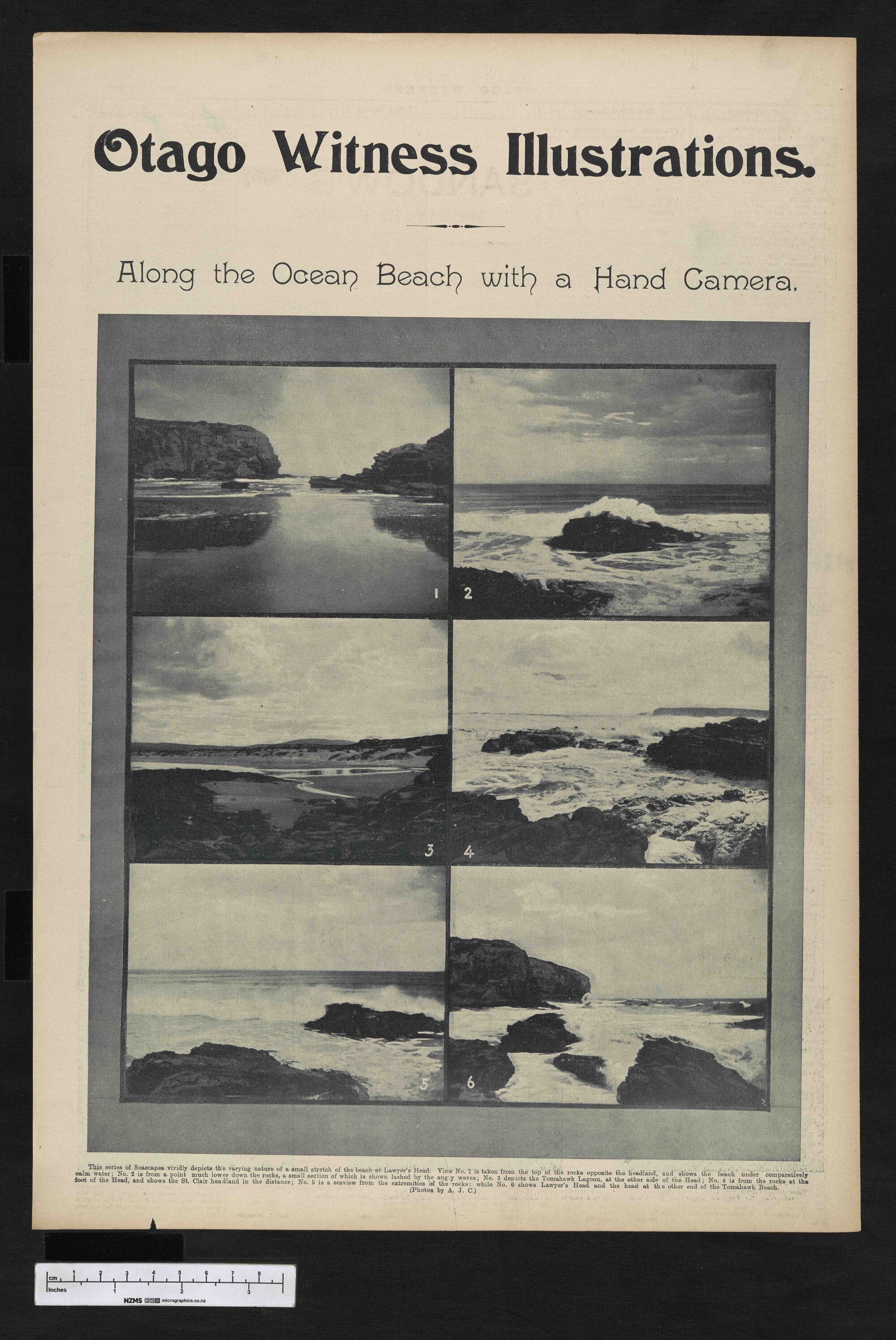 1903-02-04 Otago Witness