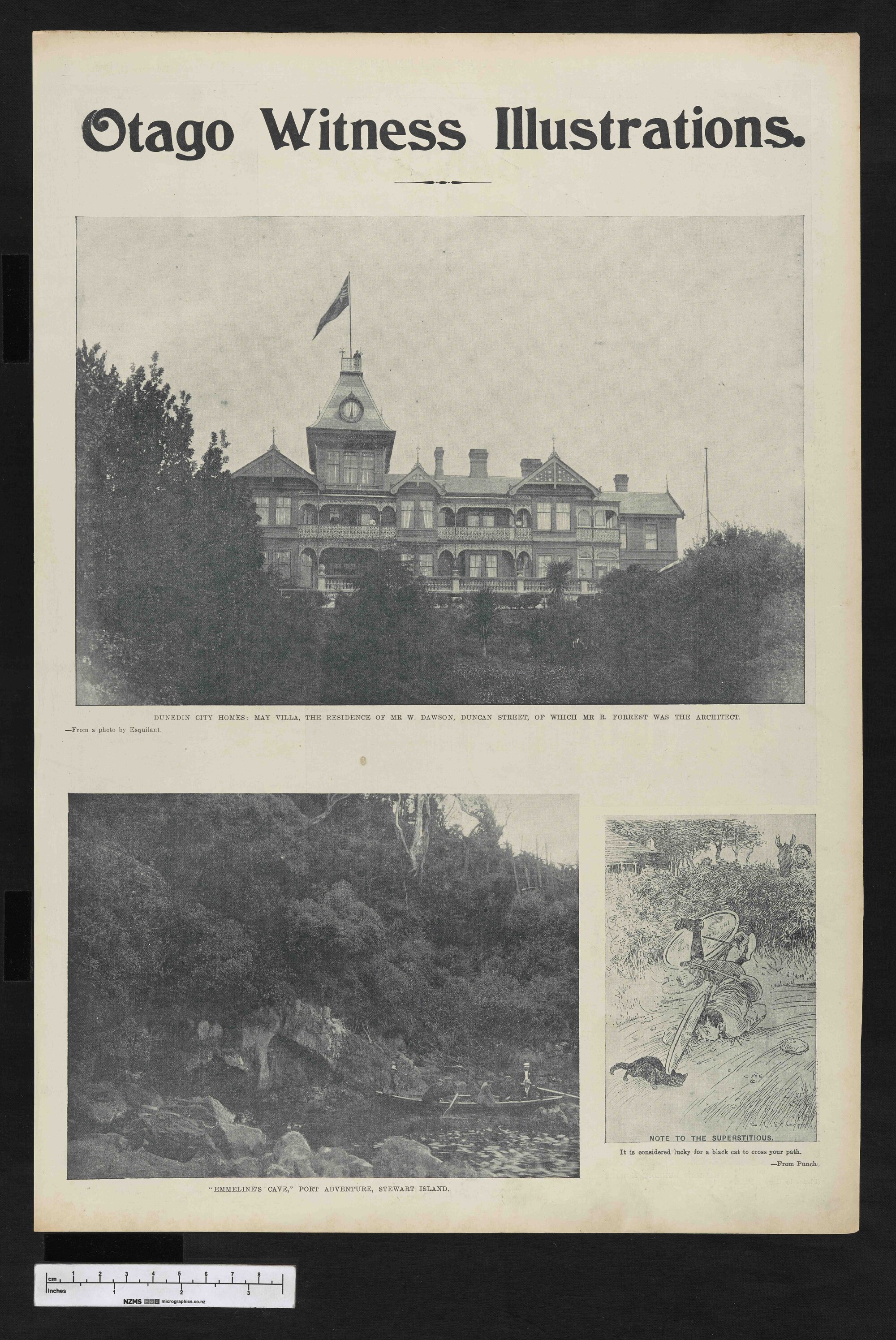 1903-02-11 Otago Witness