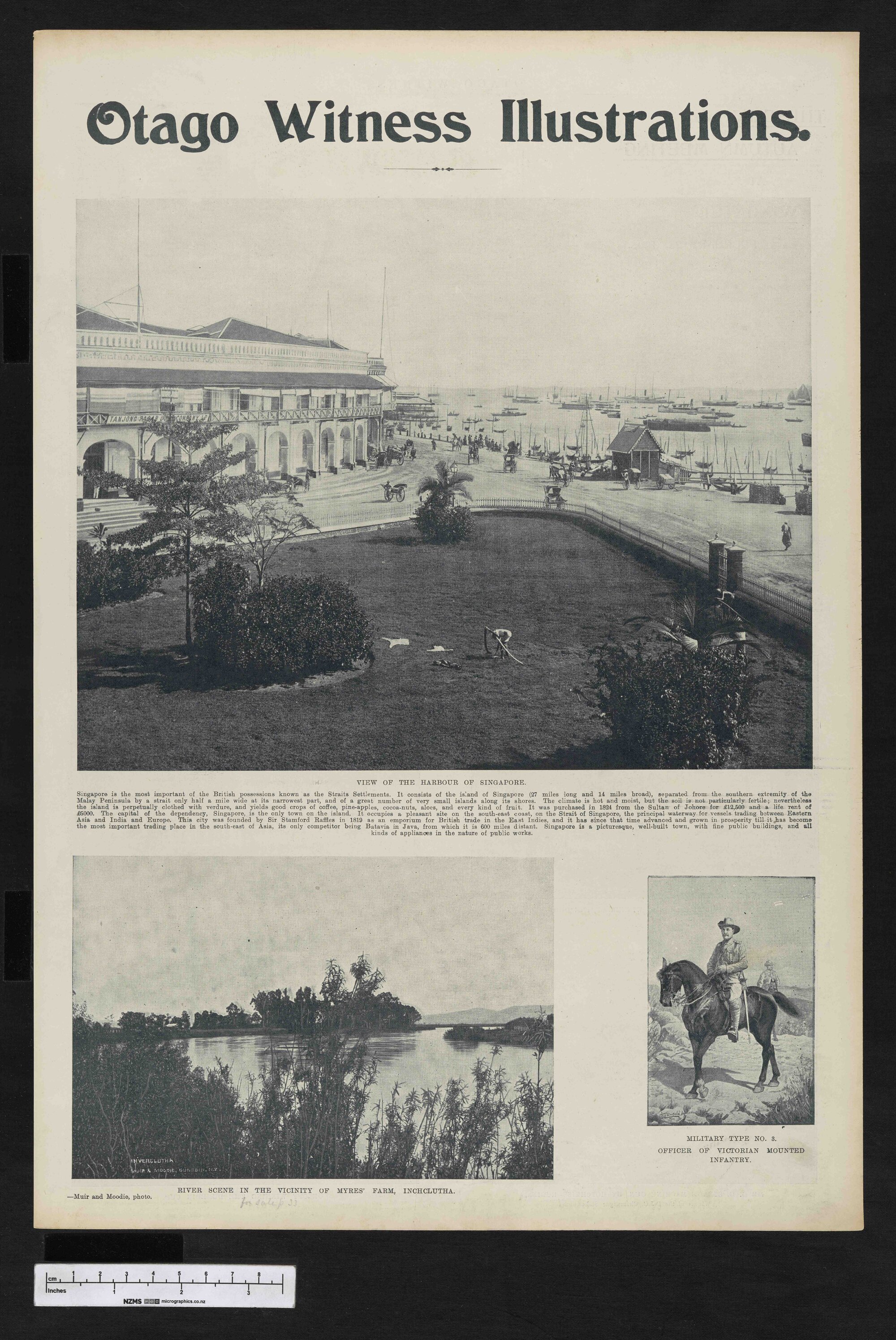1903-03-04 Otago Witness