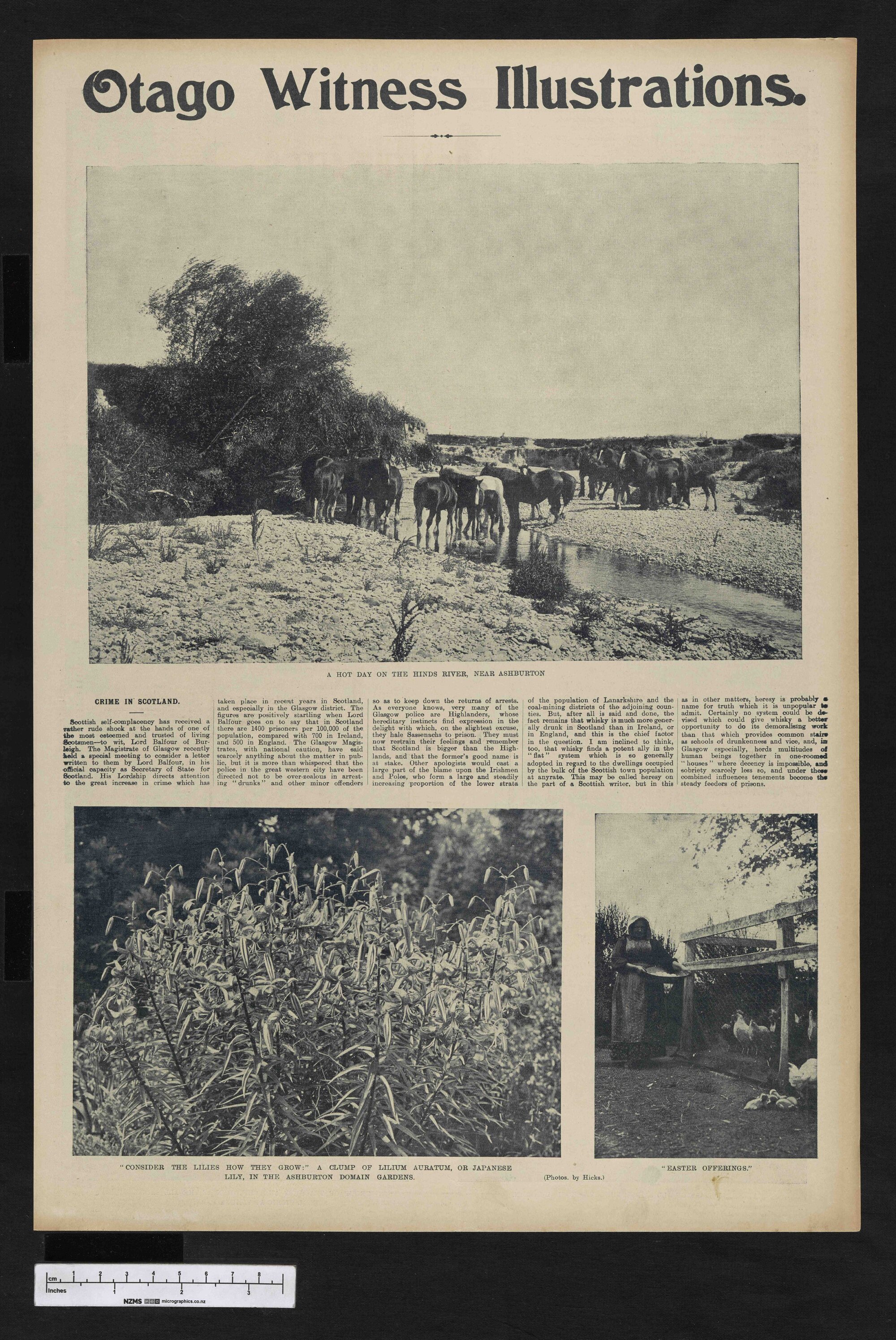1903-03-25 Otago Witness