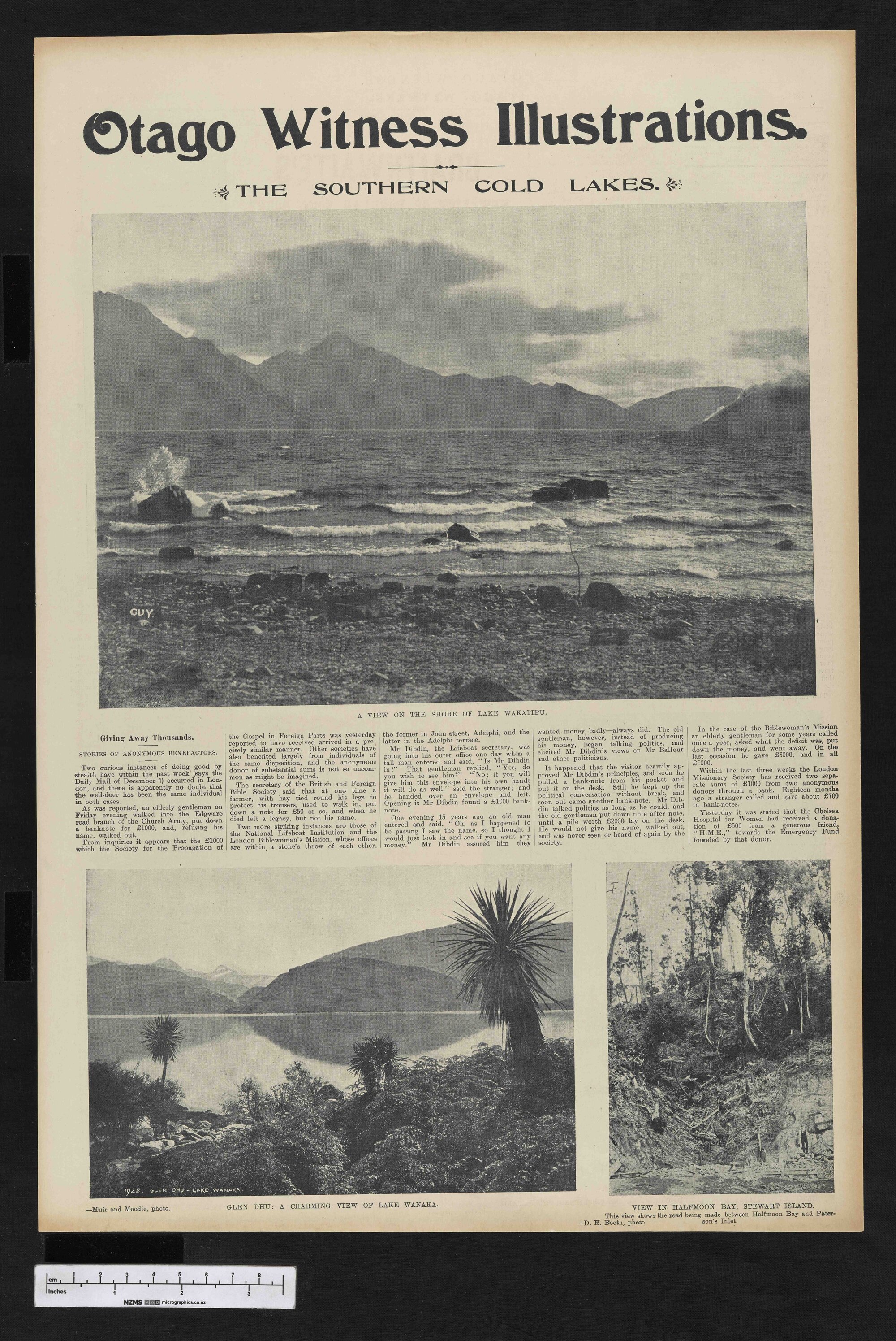 1903-04-08 Otago Witness