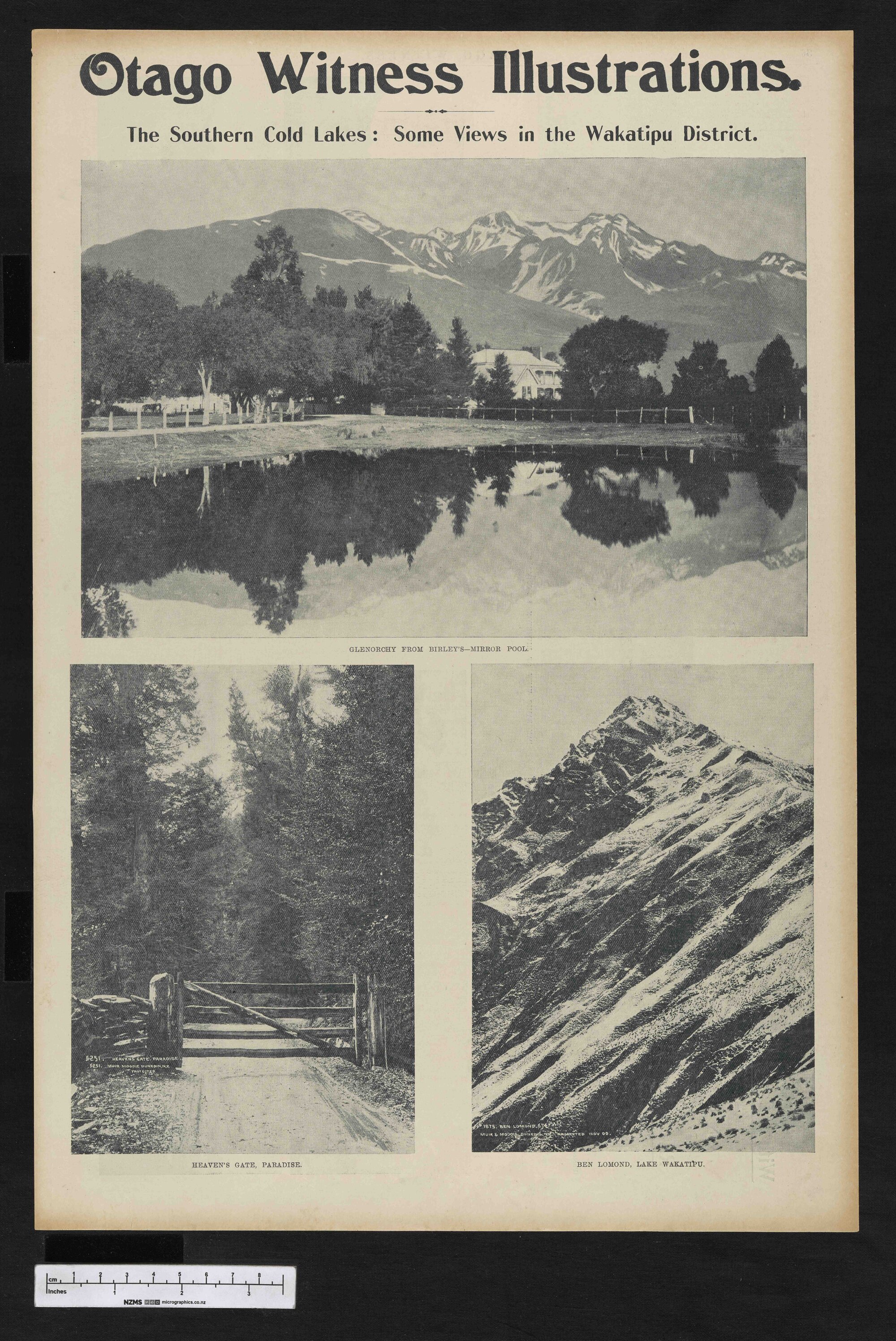 1903-04-15 Otago Witness