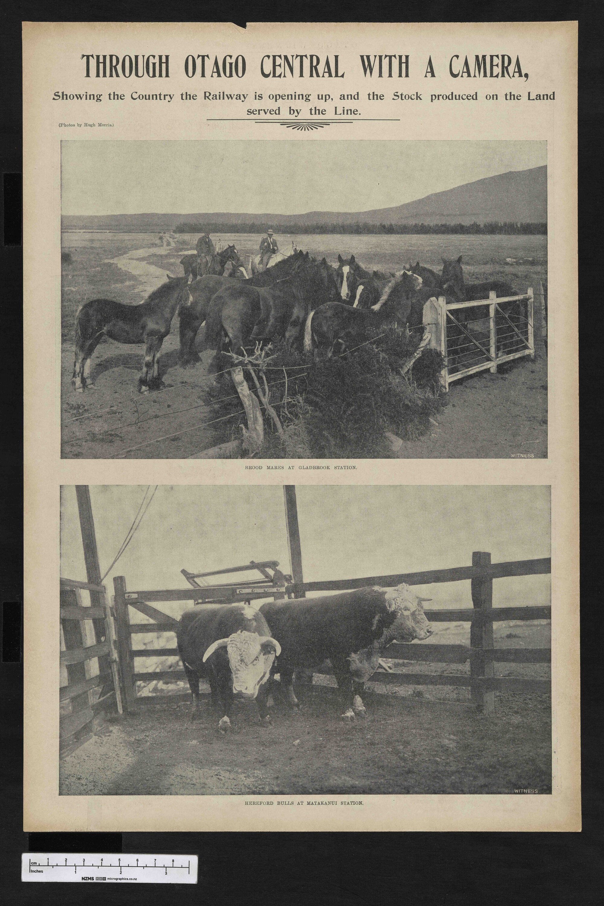 1903-04-29 Otago Witness