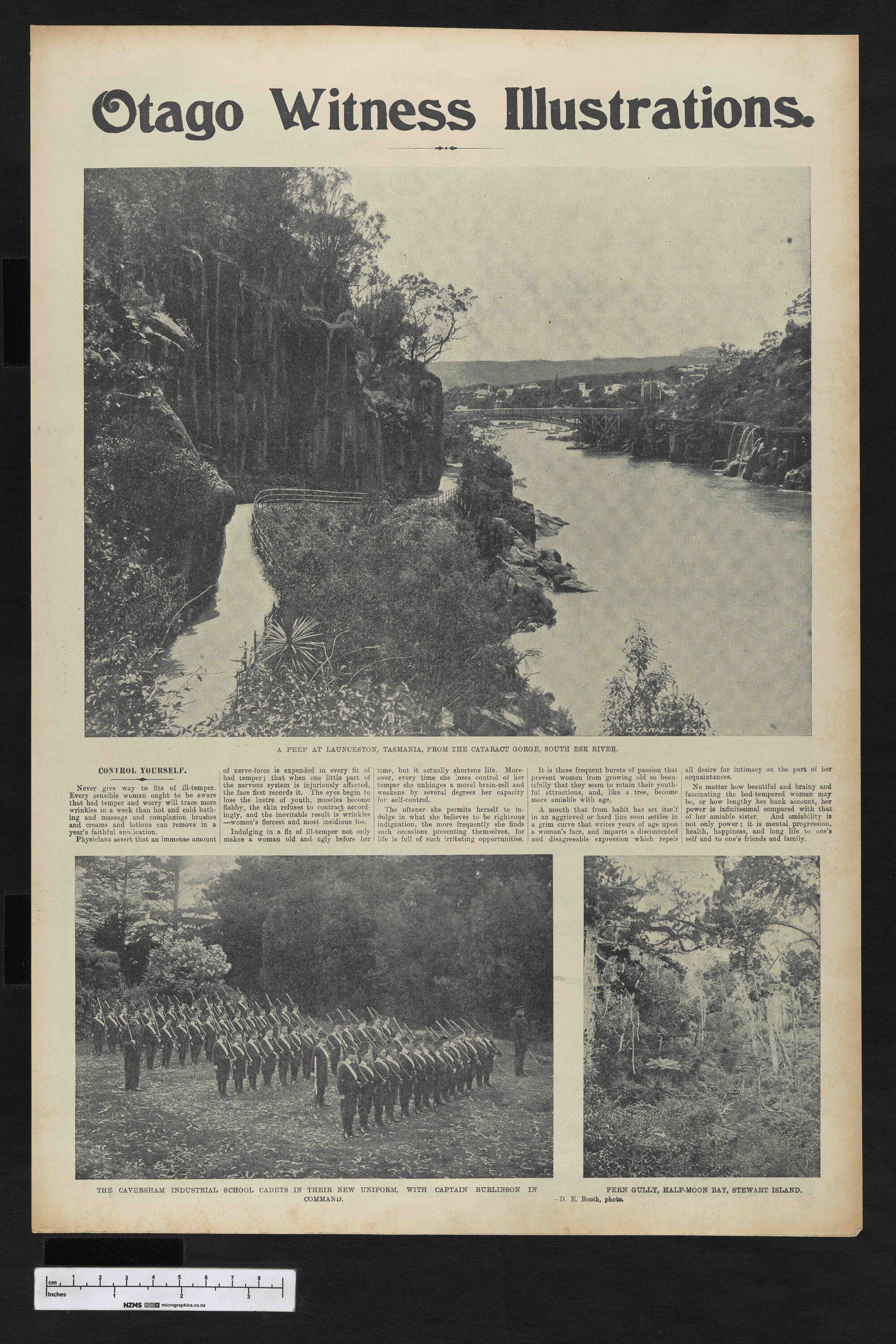 1903-05-13 Otago Witness
