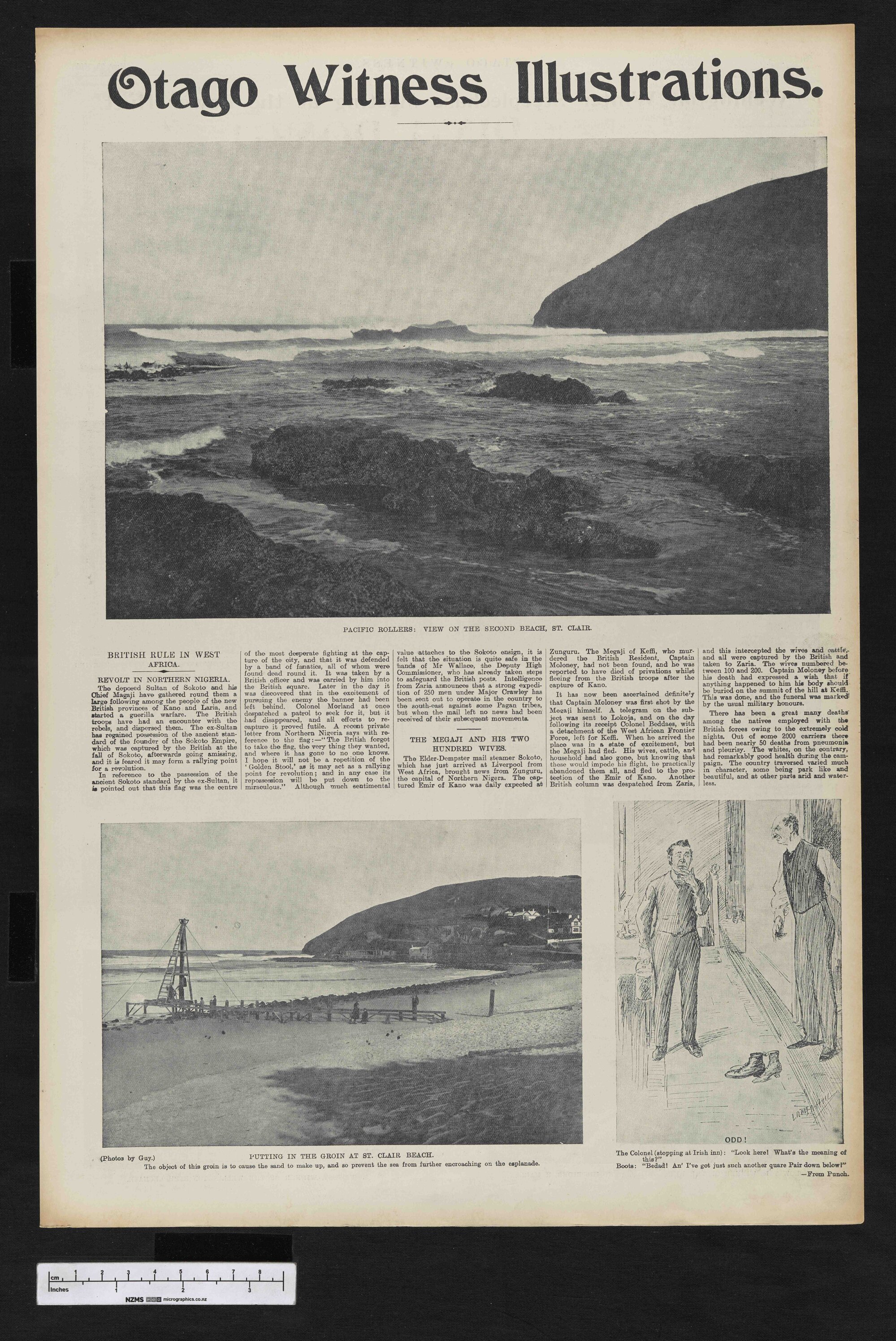 1903-07-29 Otago Witness