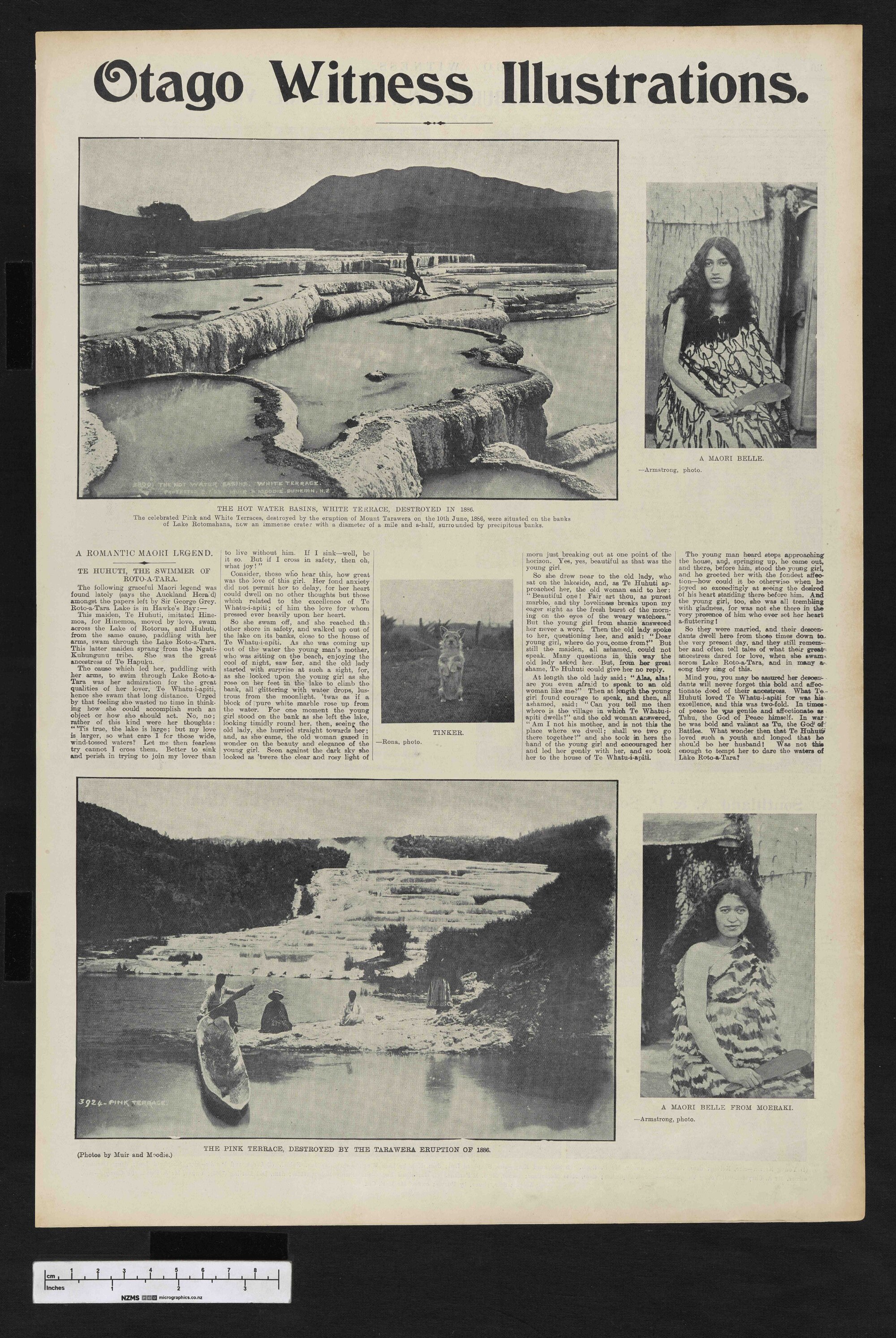 1903-10-14 Otago Witness