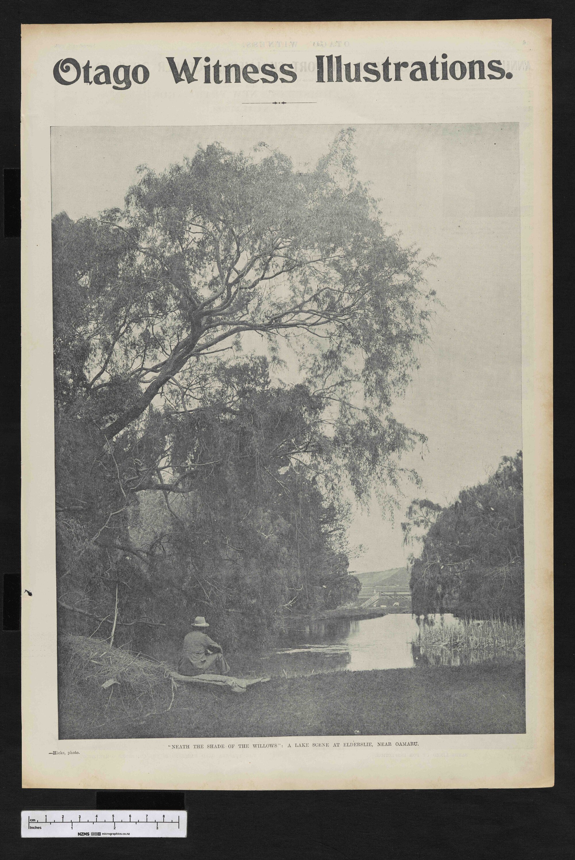 1903-11-04 Otago Witness