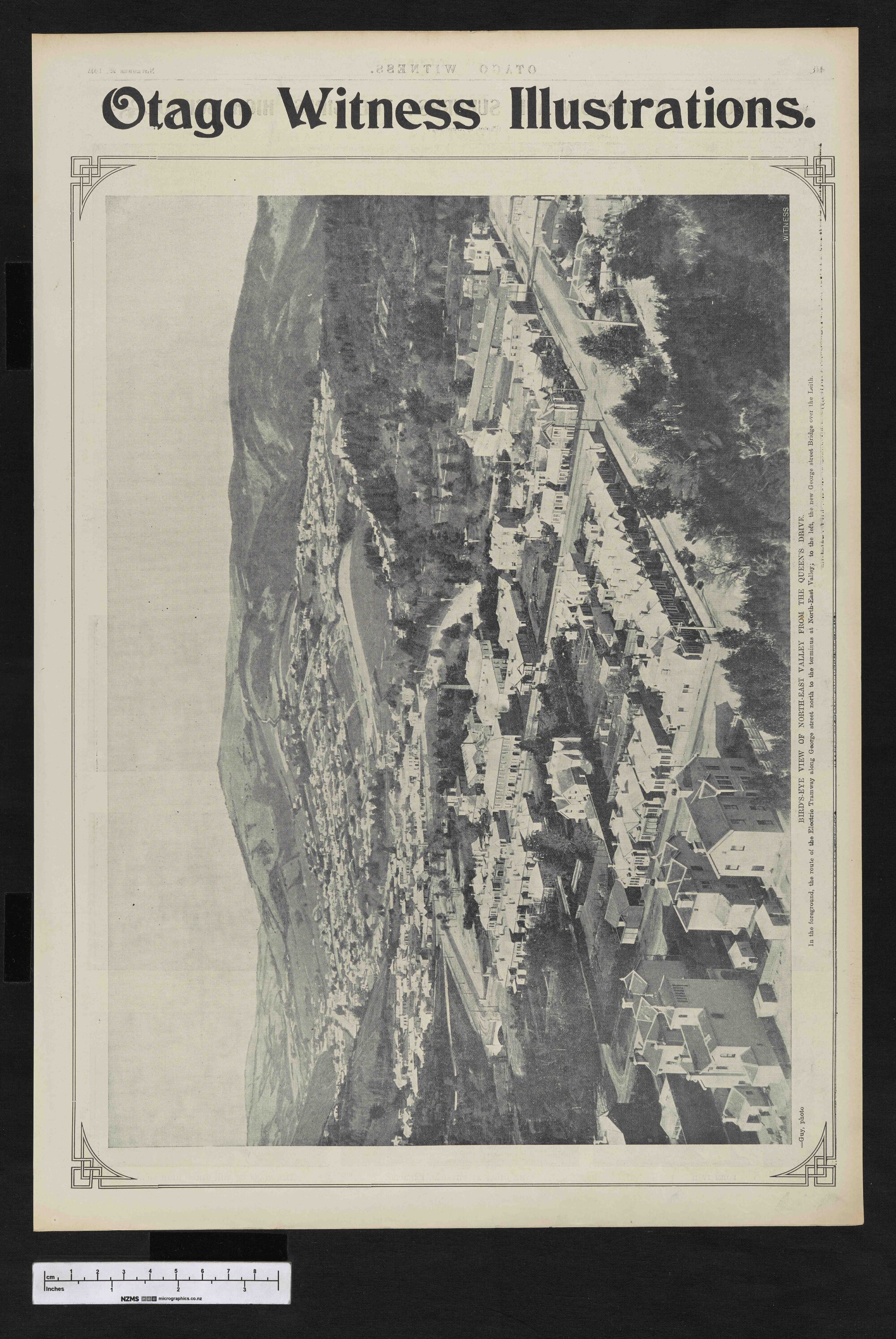 1903-11-25 Otago Witness