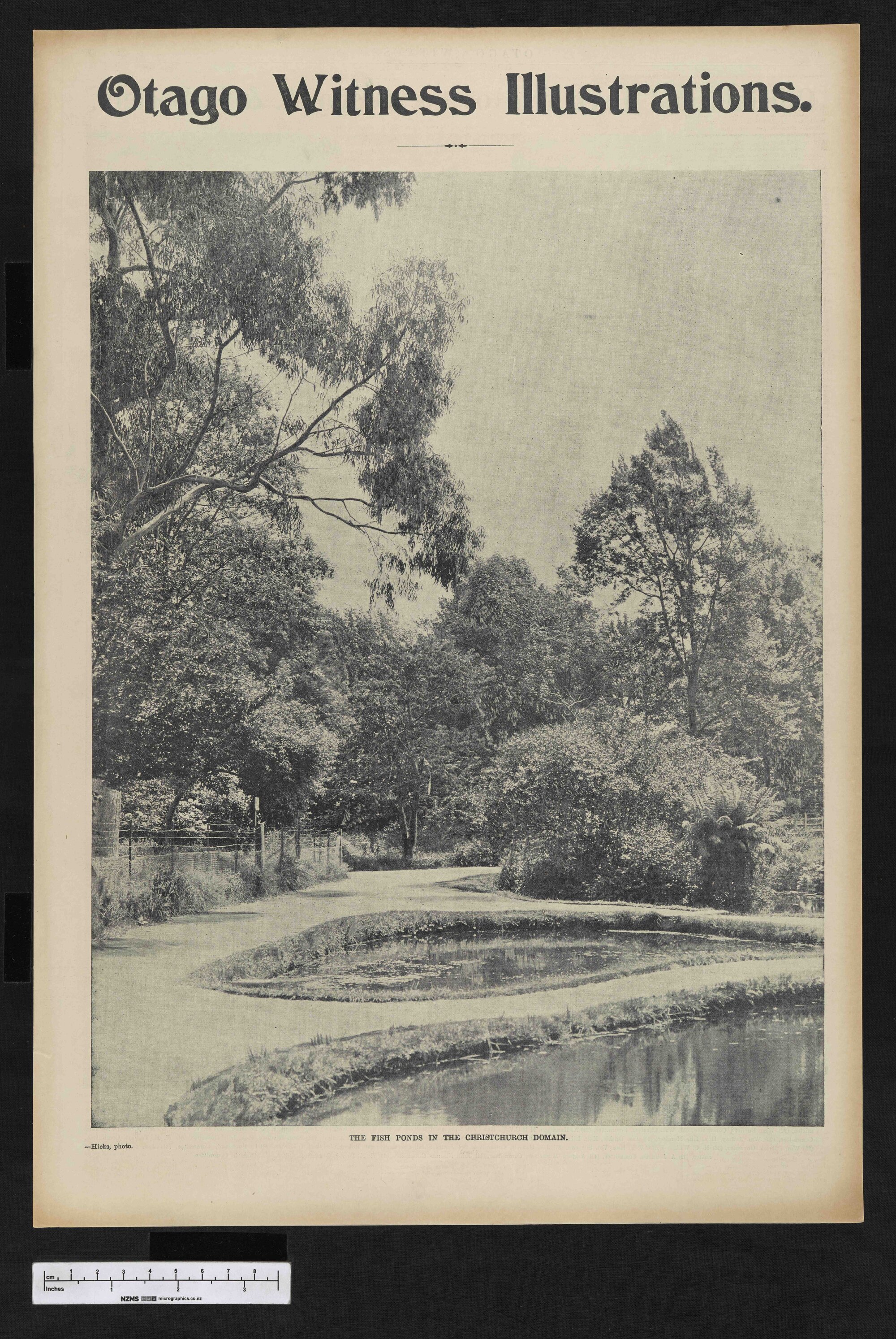 1903-12-02 Otago Witness