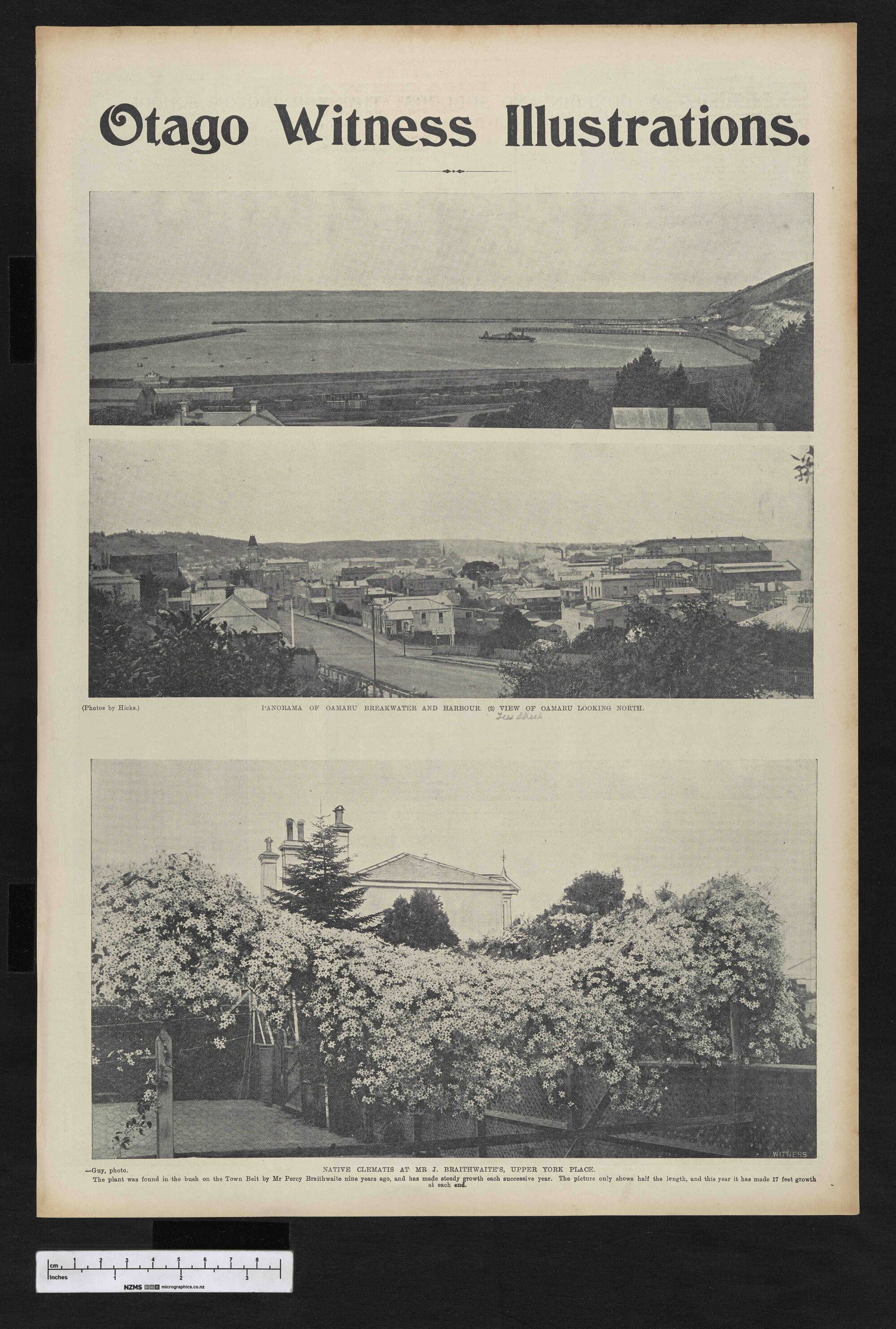 1903-12-16 Otago Witness