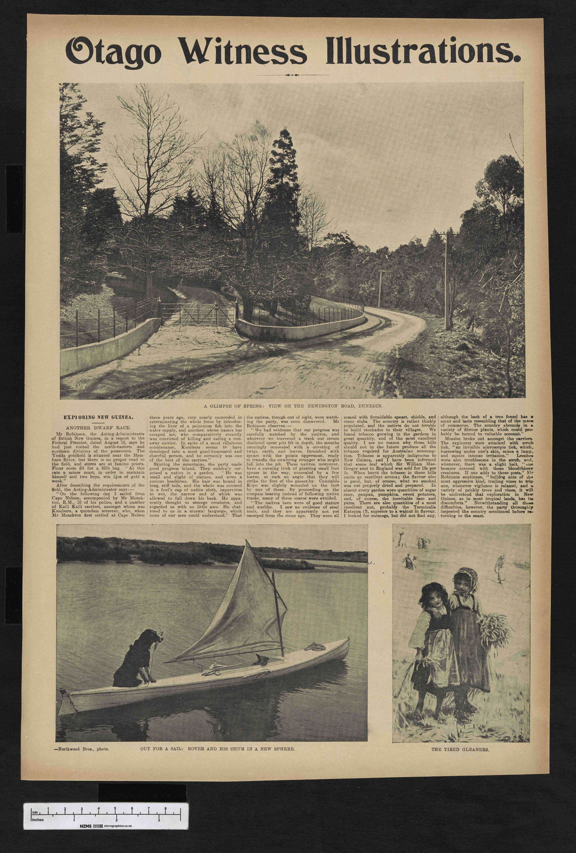 1903-12-23 Otago Witness