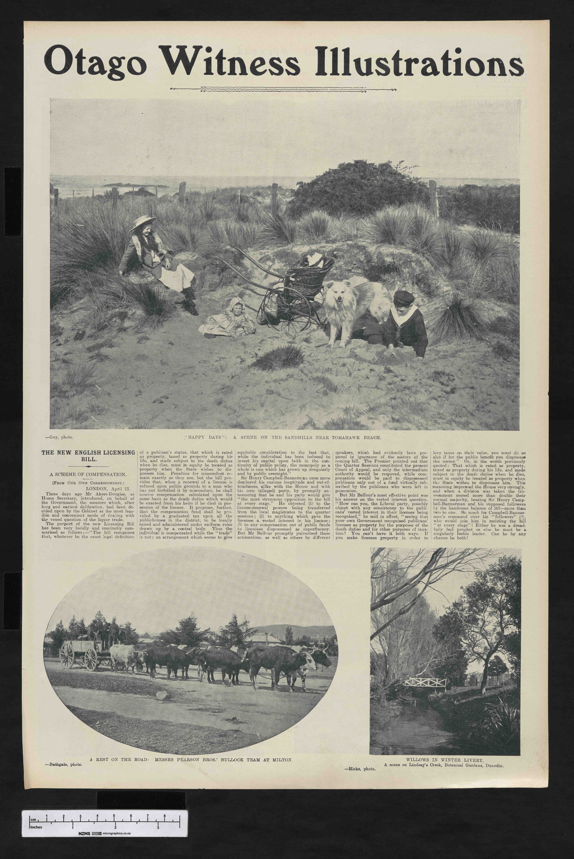 1904-06-22 Otago Witness