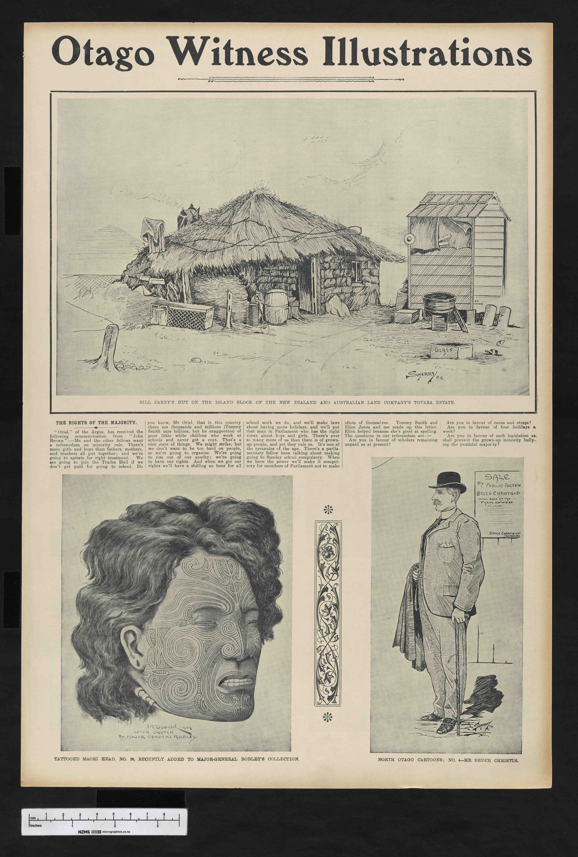 1904-07-13 Otago Witness