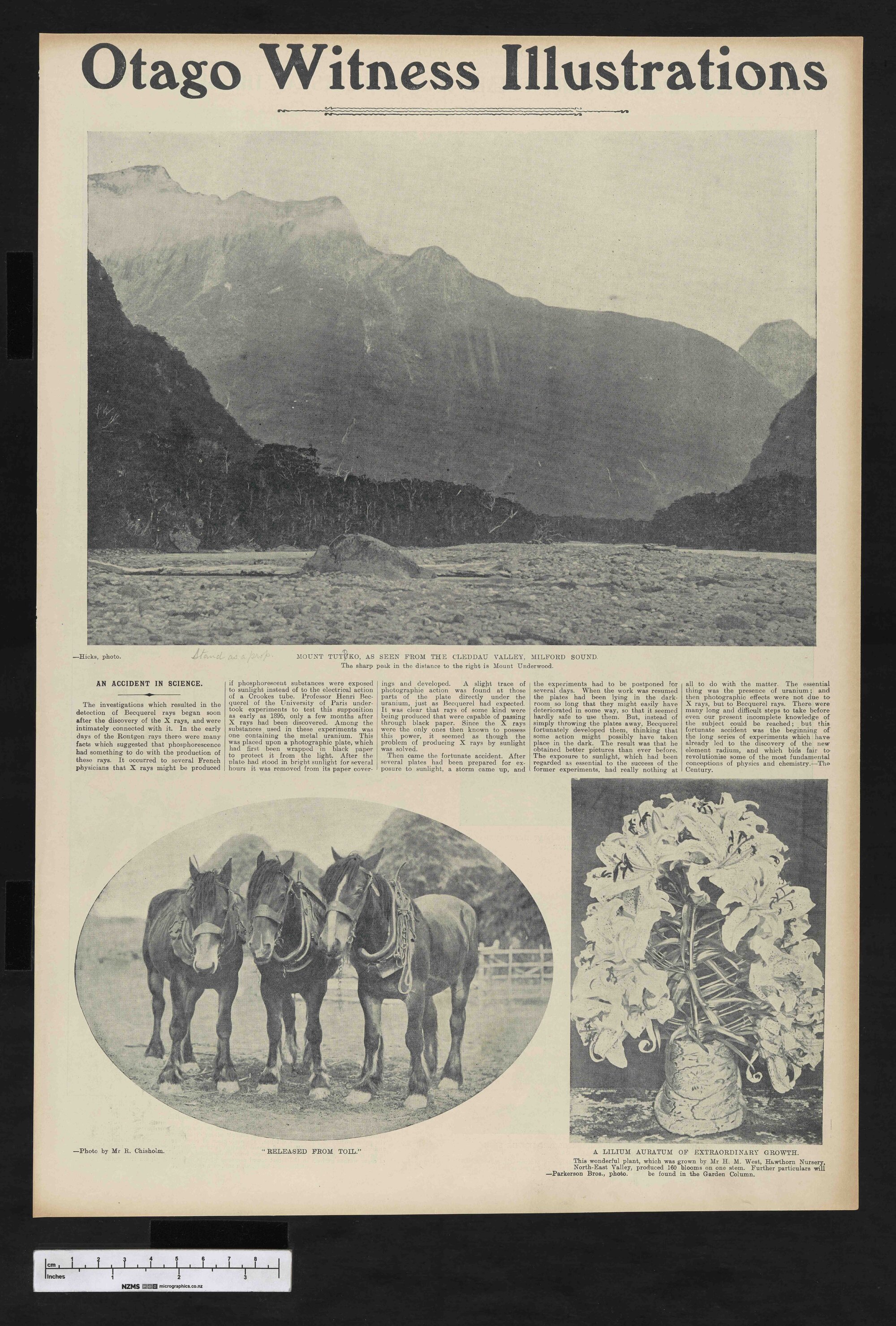 1904-07-27 Otago Witness